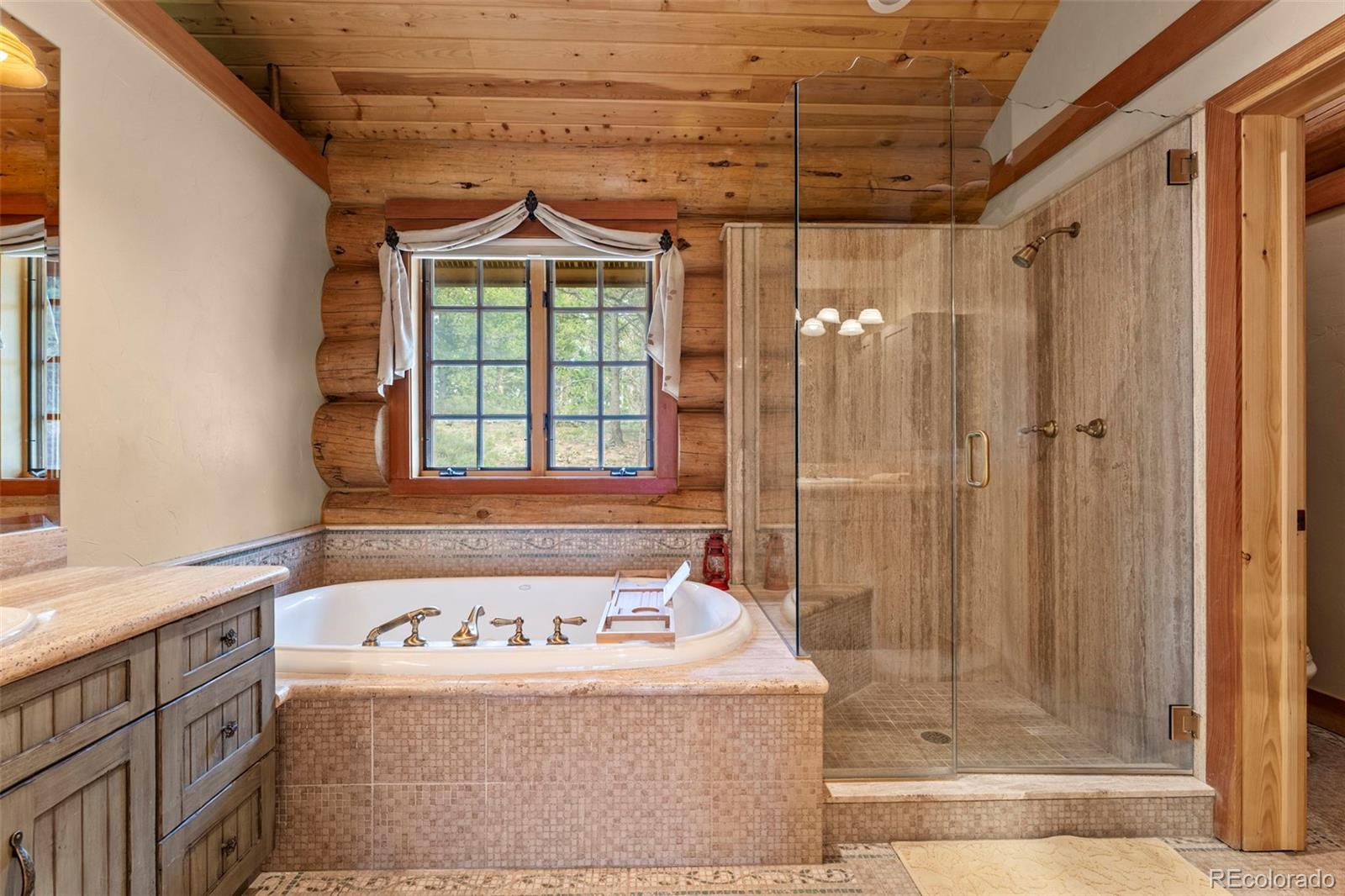 MLS Image #17 for 1455  ridge road,nederland, Colorado