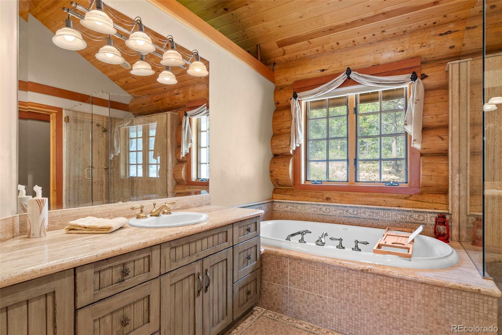 MLS Image #18 for 1455  ridge road,nederland, Colorado