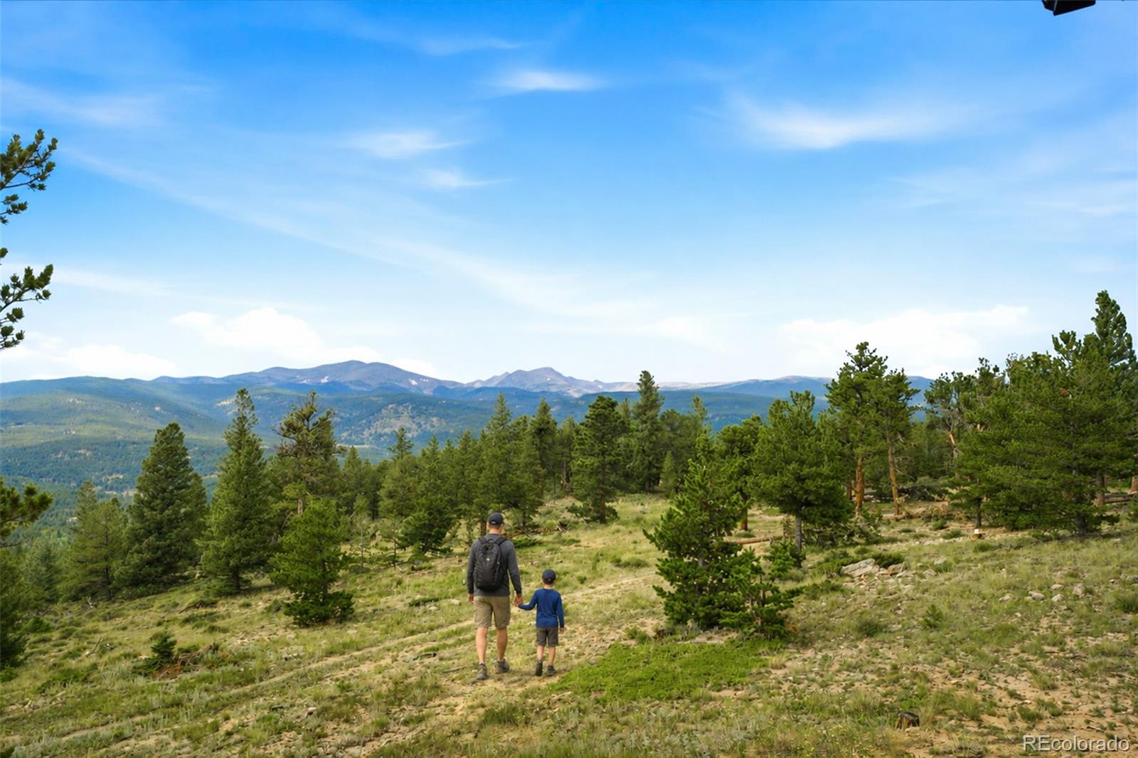 MLS Image #33 for 1455  ridge road,nederland, Colorado
