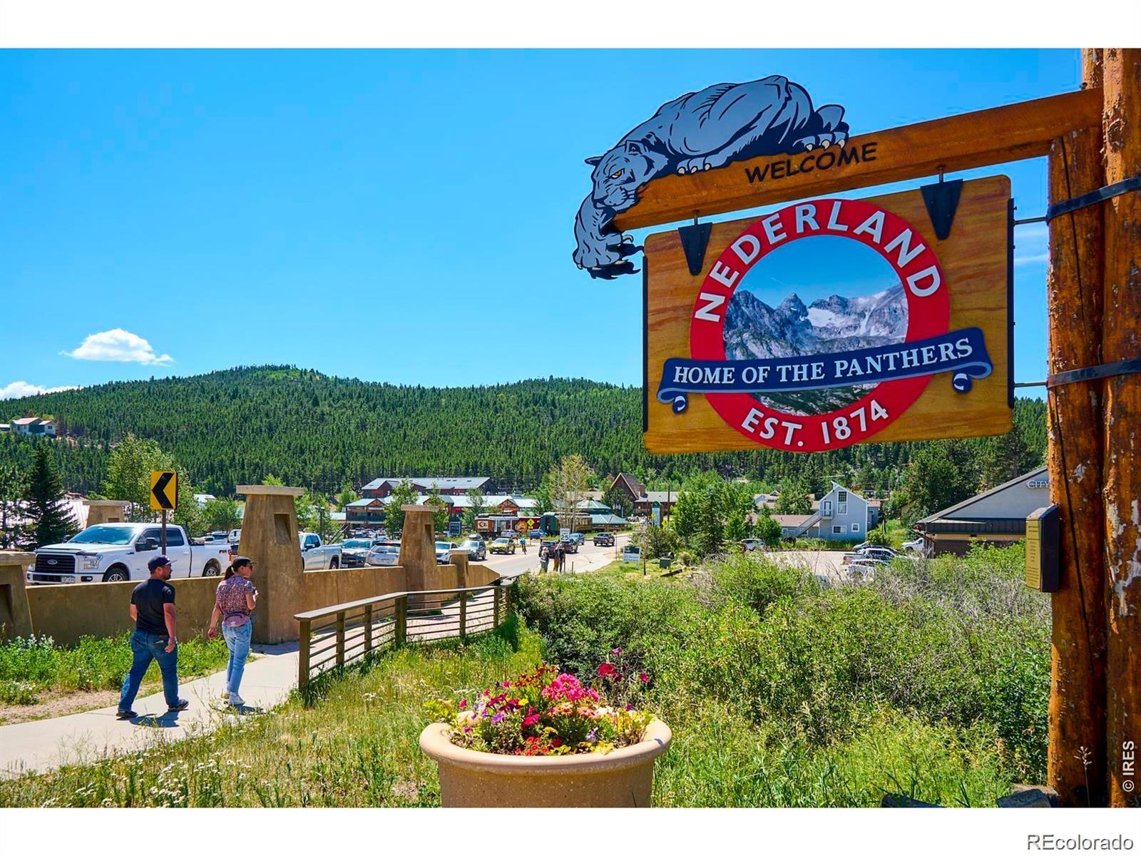 MLS Image #48 for 1455  ridge road,nederland, Colorado