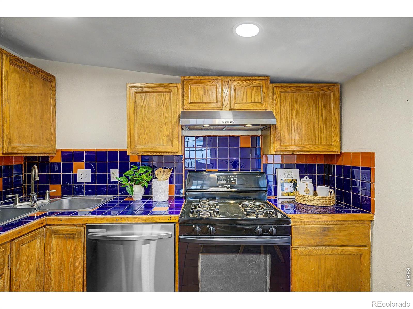 MLS Image #16 for 1962 s logan street,denver, Colorado