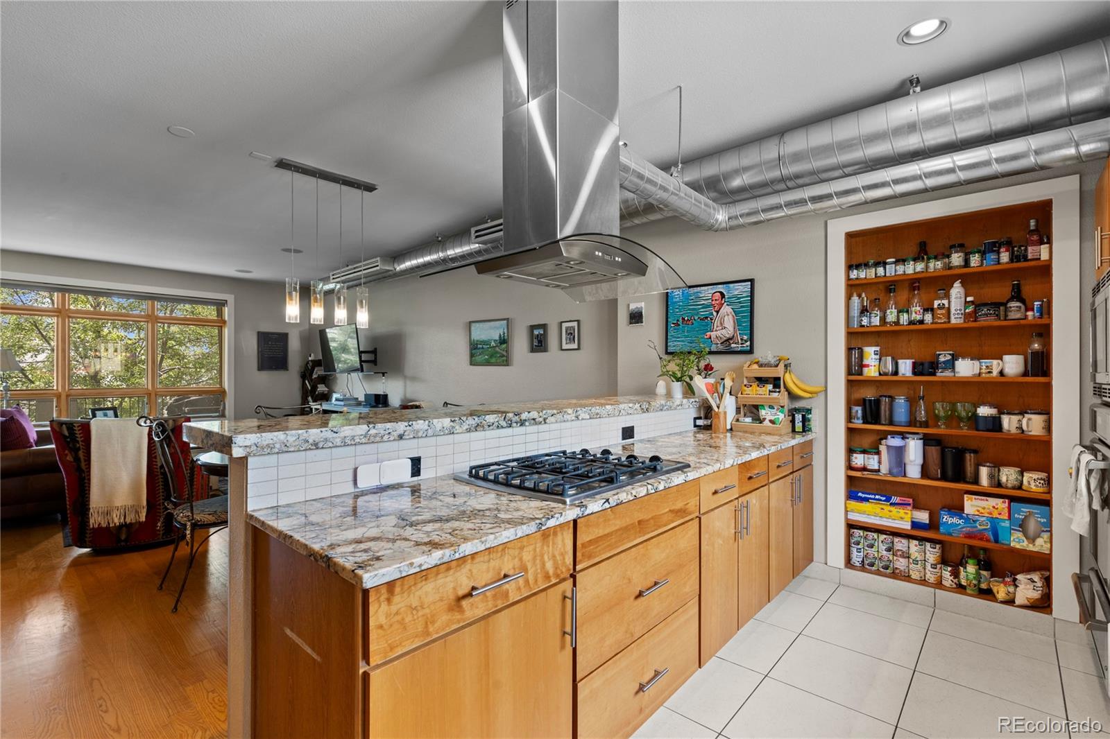 MLS Image #3 for 3680  osage street,denver, Colorado