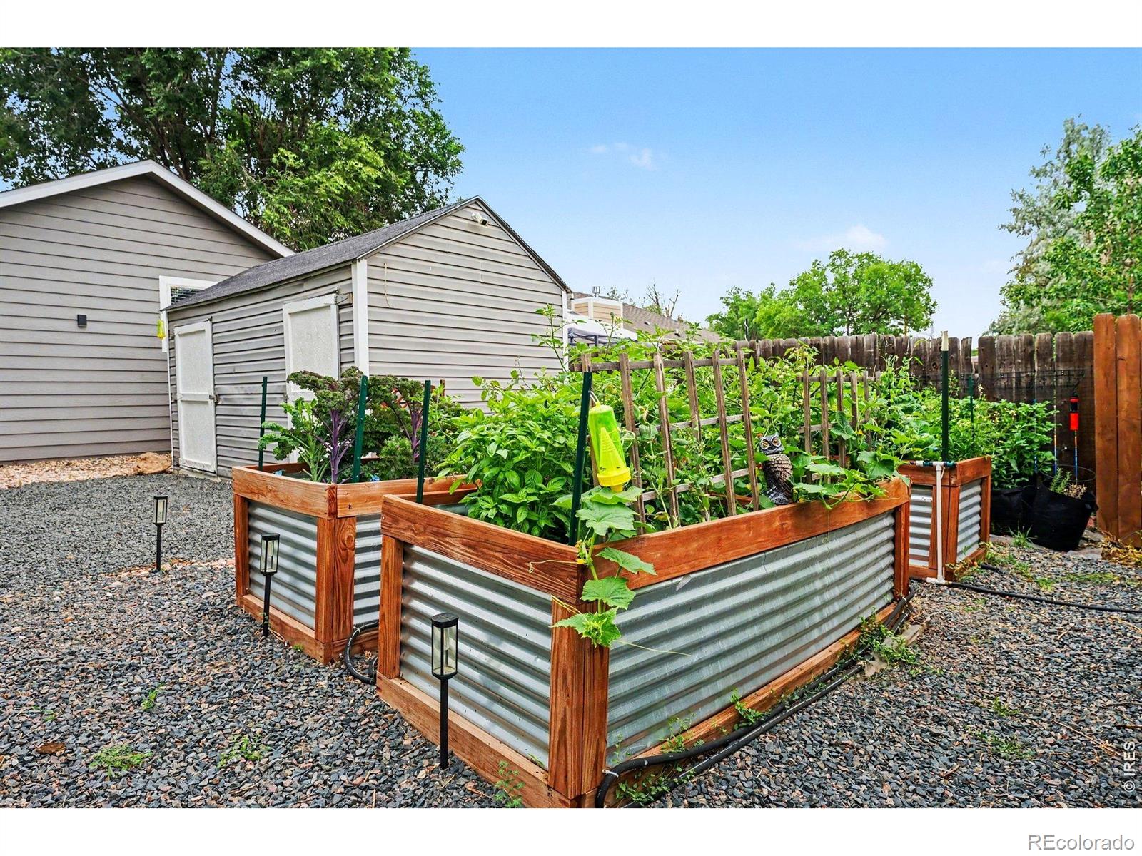 MLS Image #18 for 525  nokomis court,fort collins, Colorado
