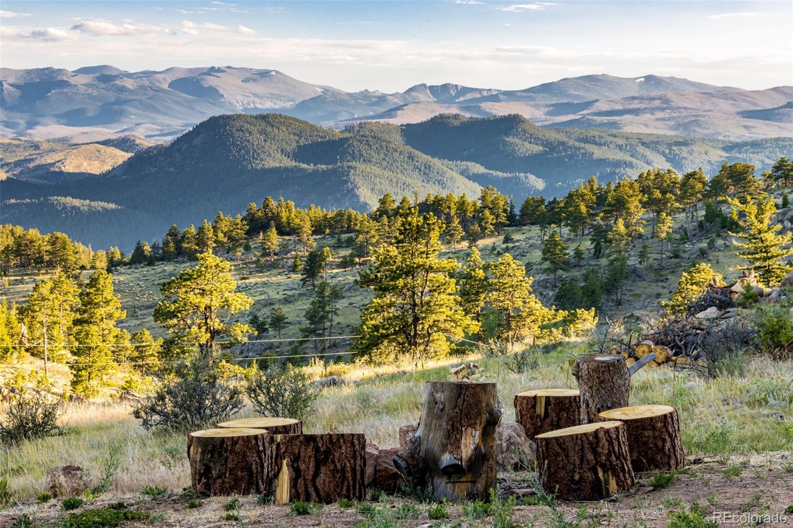 MLS Image #12 for 5433 n rim road,livermore, Colorado