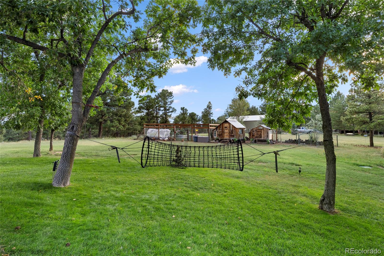 MLS Image #3 for 12464  forest canyon drive,parker, Colorado
