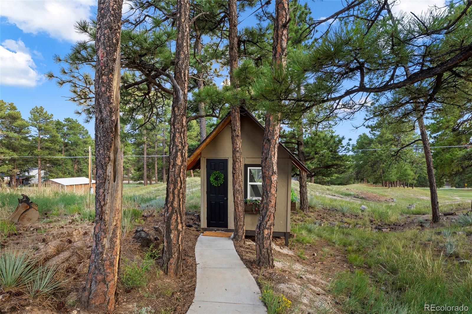 MLS Image #5 for 12464  forest canyon drive,parker, Colorado