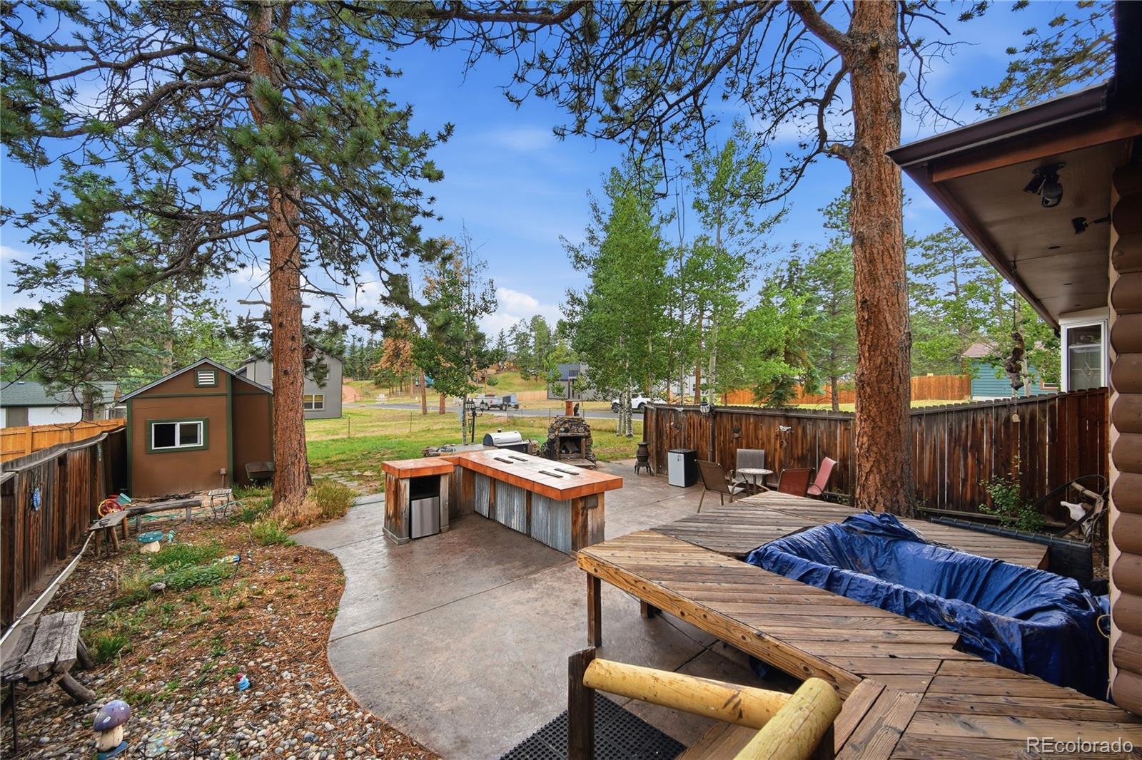 MLS Image #20 for 305 s fairview street,woodland park, Colorado