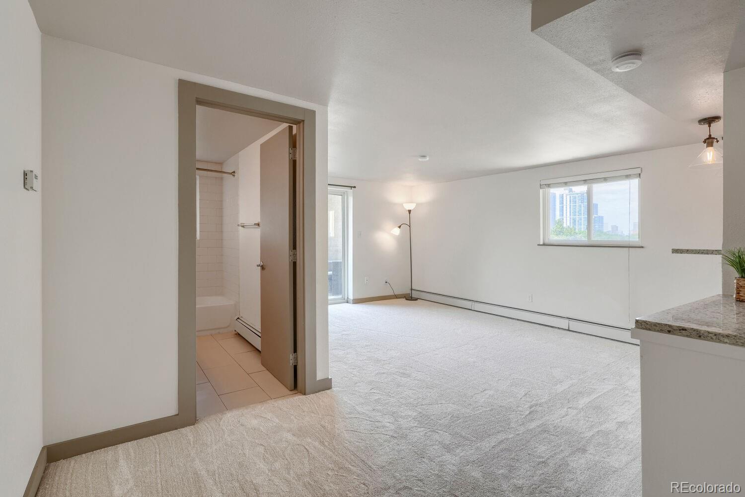 MLS Image #9 for 352 s lafayette street,denver, Colorado