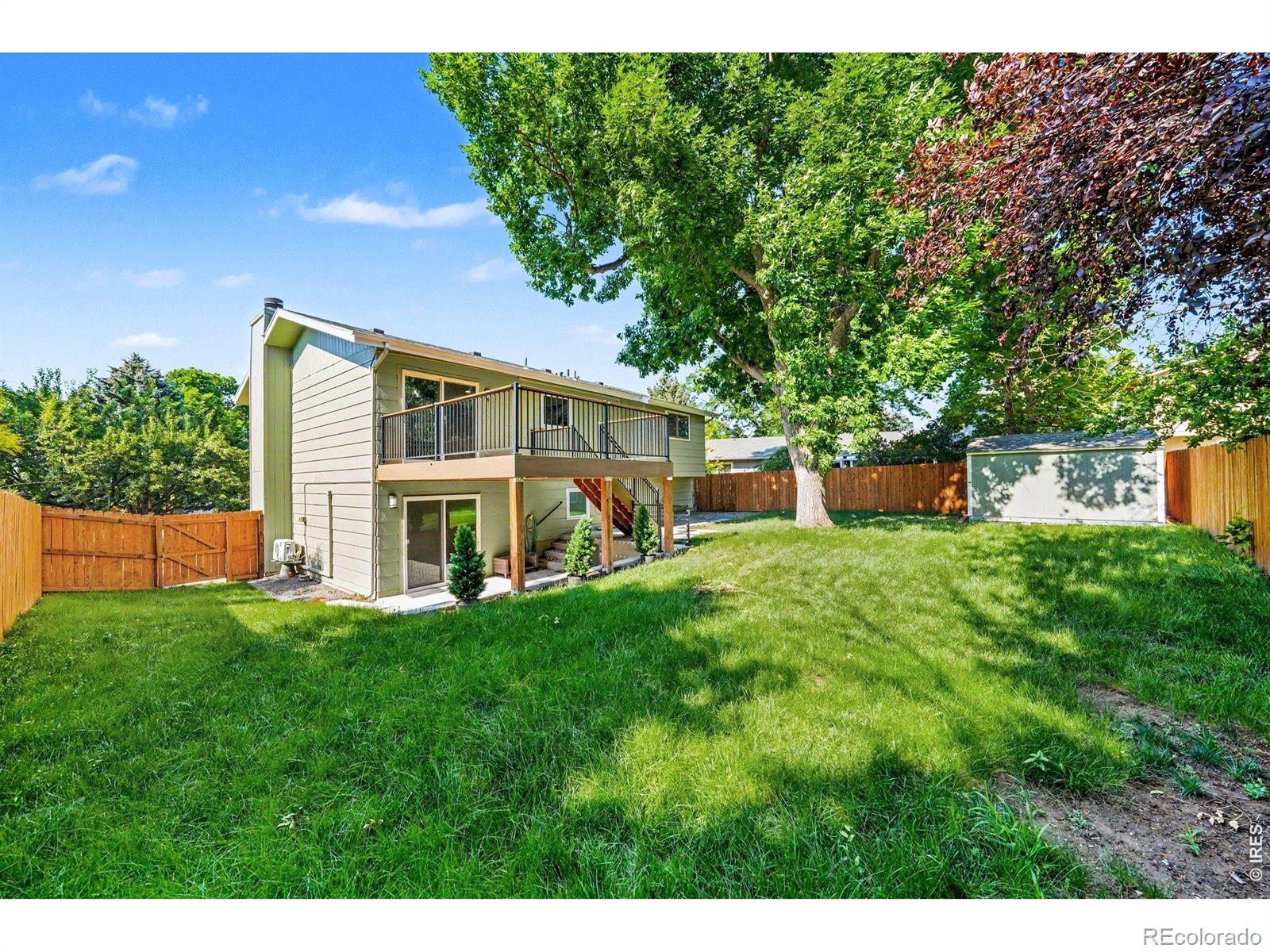 MLS Image #33 for 1436  ivy street,fort collins, Colorado