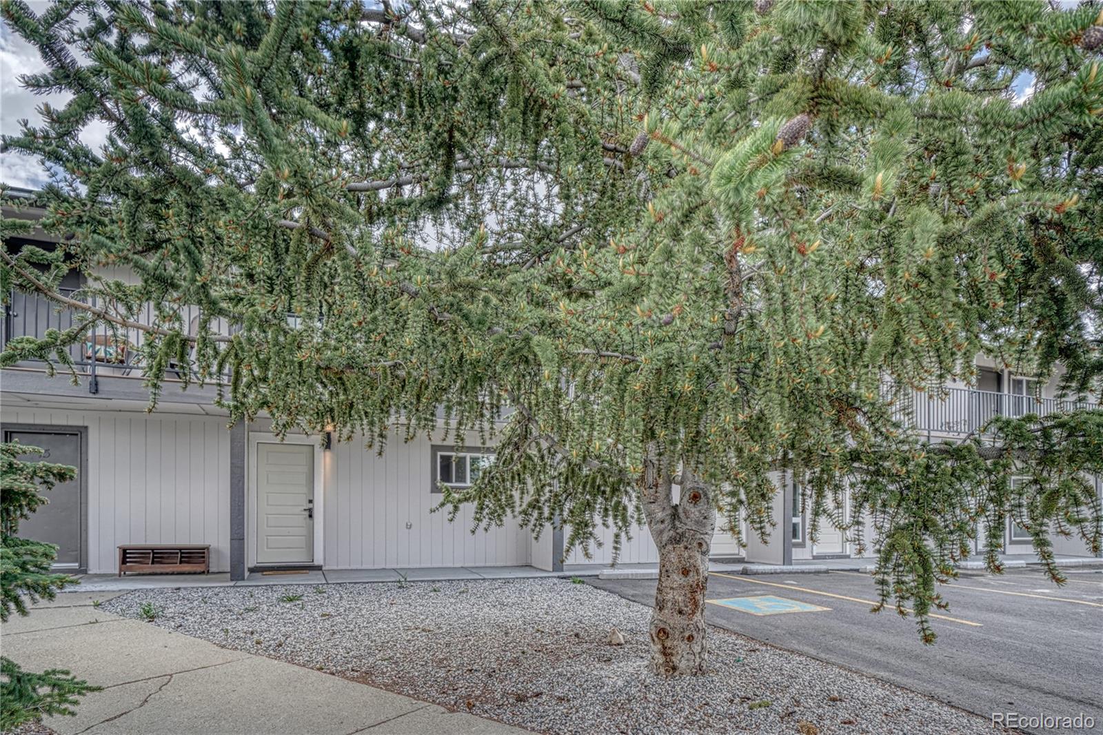 MLS Image #17 for 921  mt massive drive,leadville, Colorado