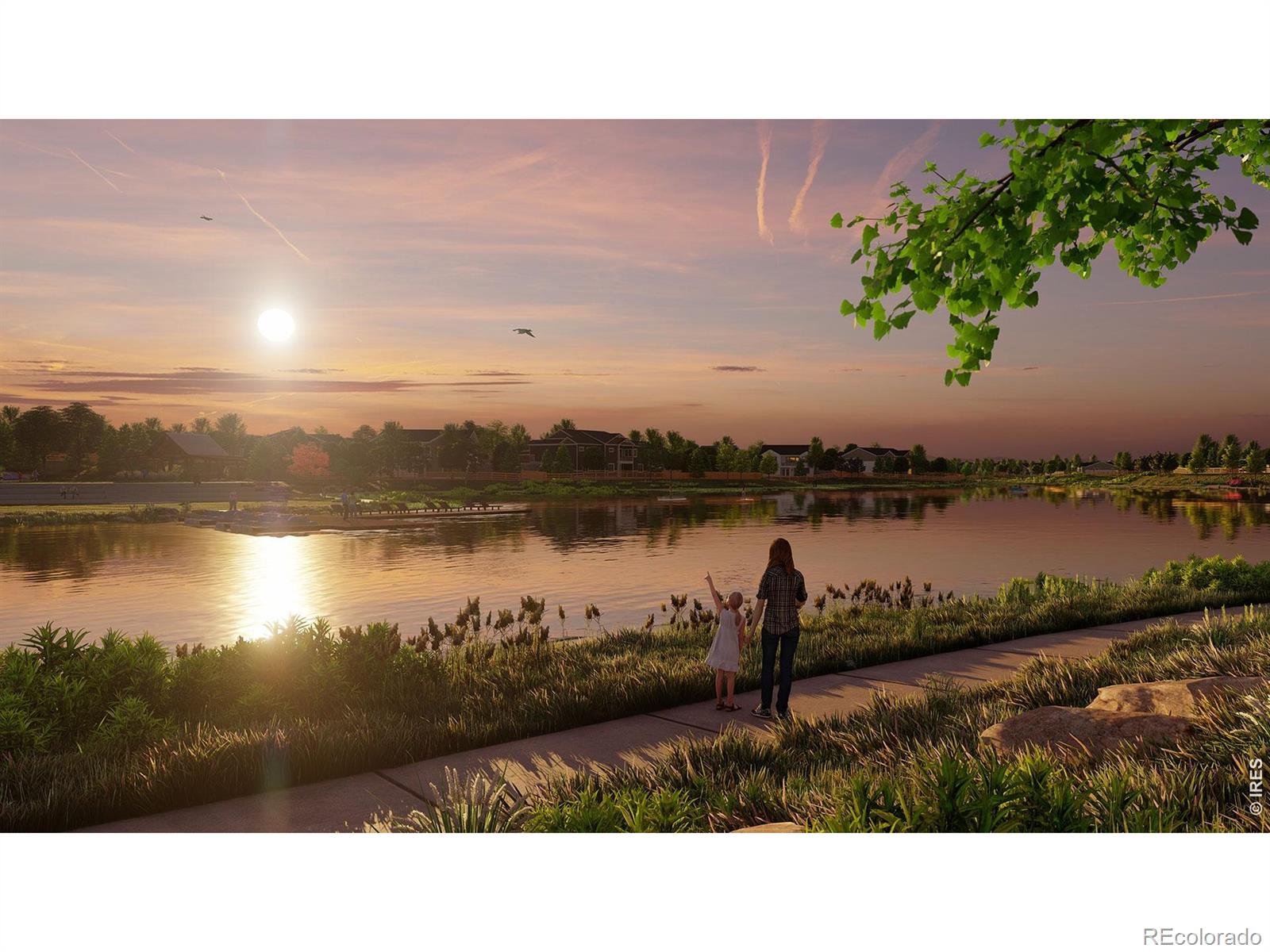 MLS Image #5 for 4541  parkline street,timnath, Colorado