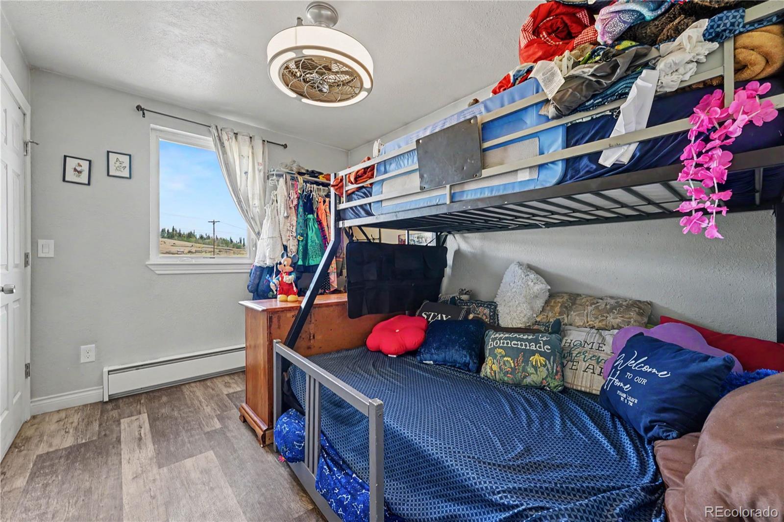 MLS Image #12 for 59  chief trl ,como, Colorado