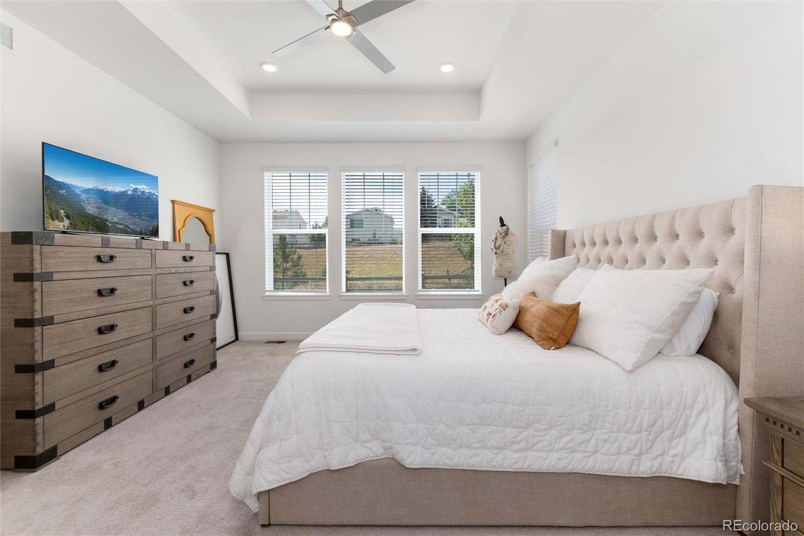 MLS Image #12 for 8074  mount kataka street,littleton, Colorado