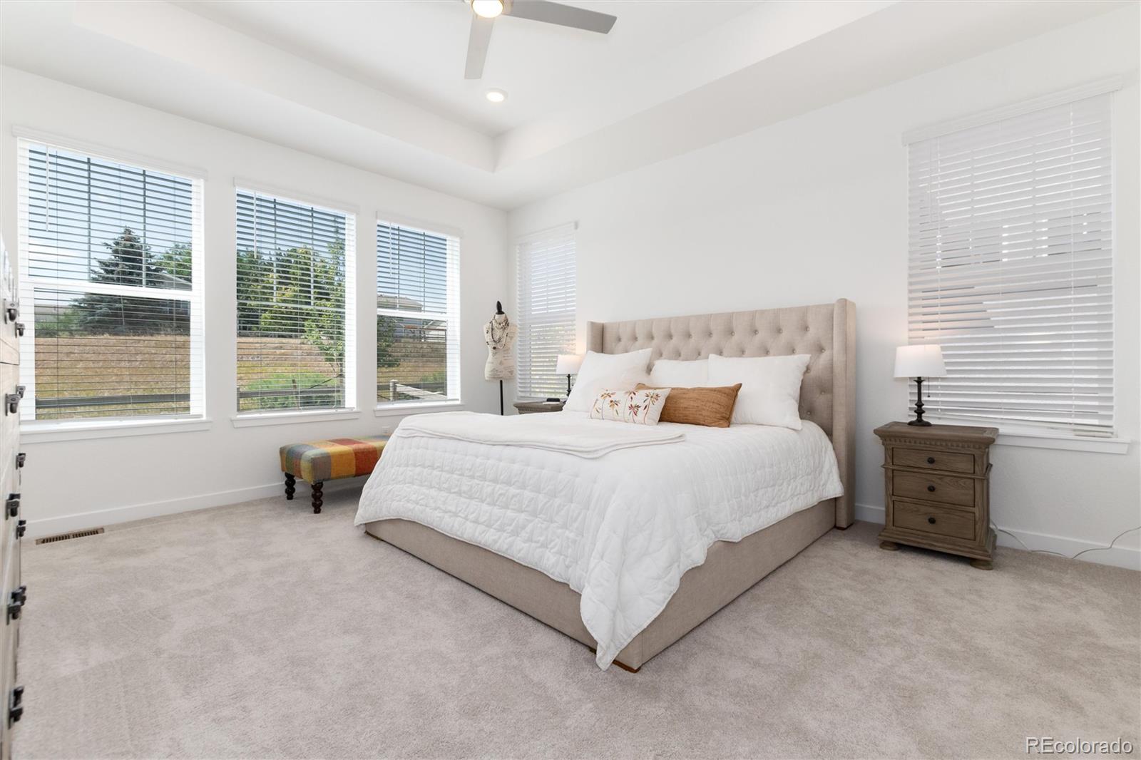 MLS Image #13 for 8074  mount kataka street,littleton, Colorado