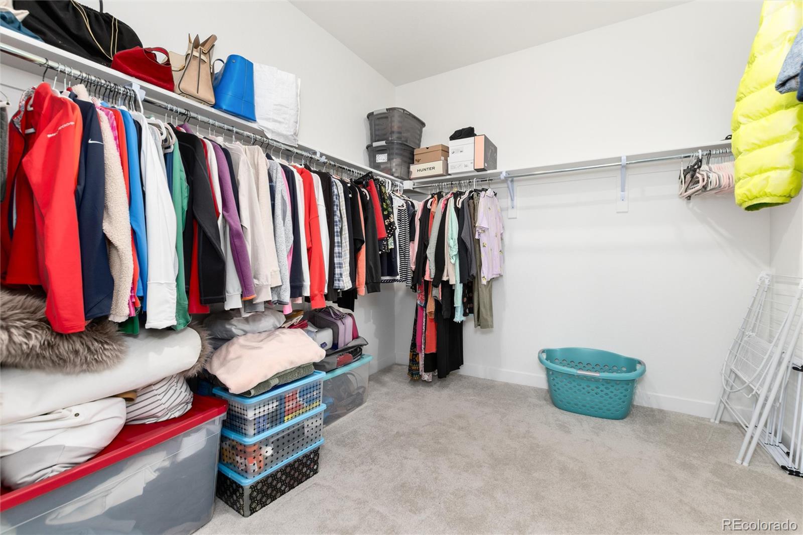 MLS Image #16 for 8074  mount kataka street,littleton, Colorado