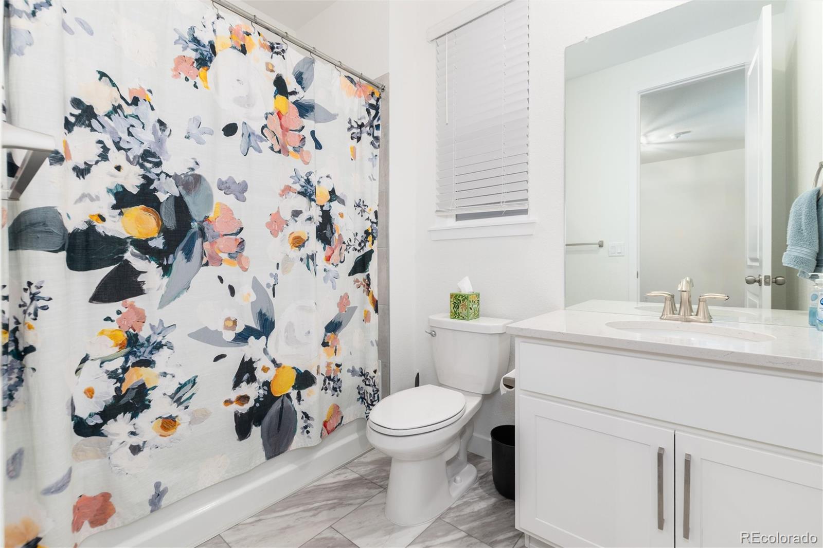 MLS Image #19 for 8074  mount kataka street,littleton, Colorado