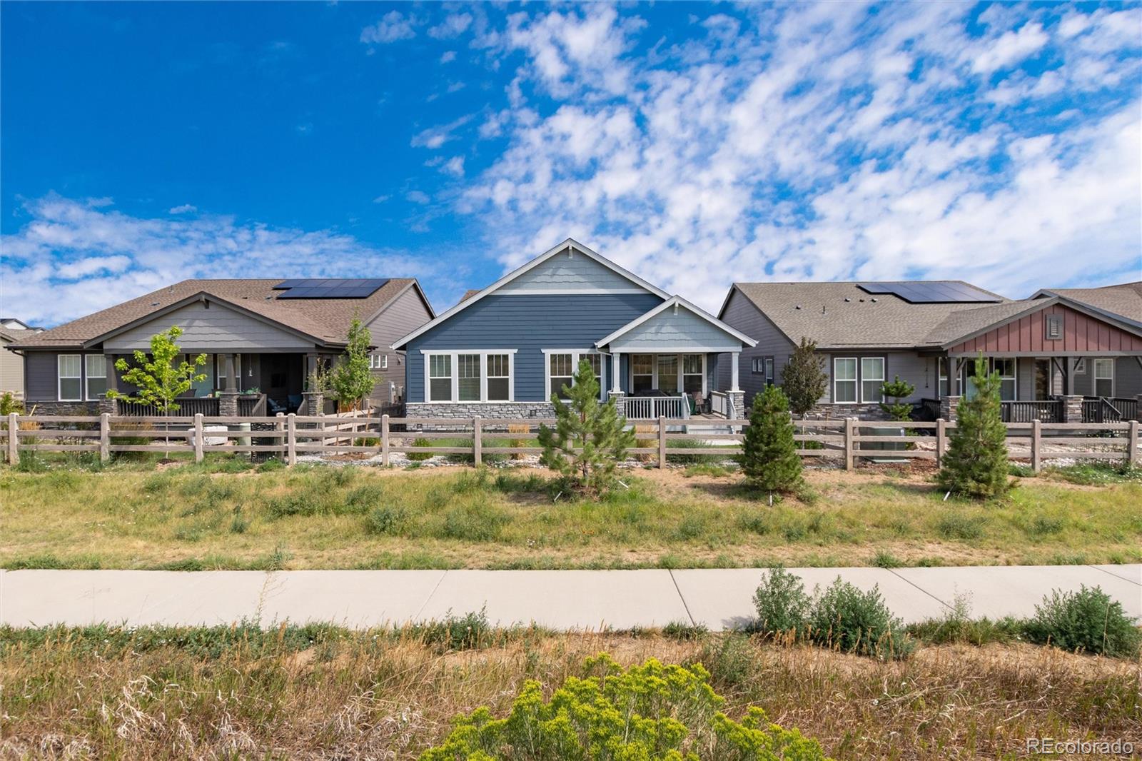 MLS Image #23 for 8074  mount kataka street,littleton, Colorado