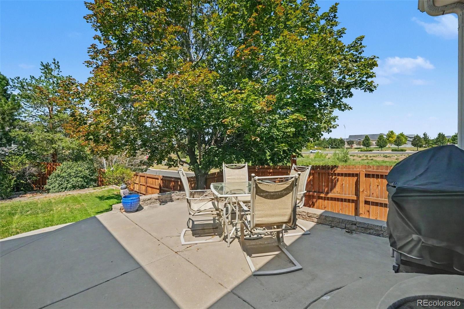 MLS Image #21 for 4969  spinning wheel drive,brighton, Colorado