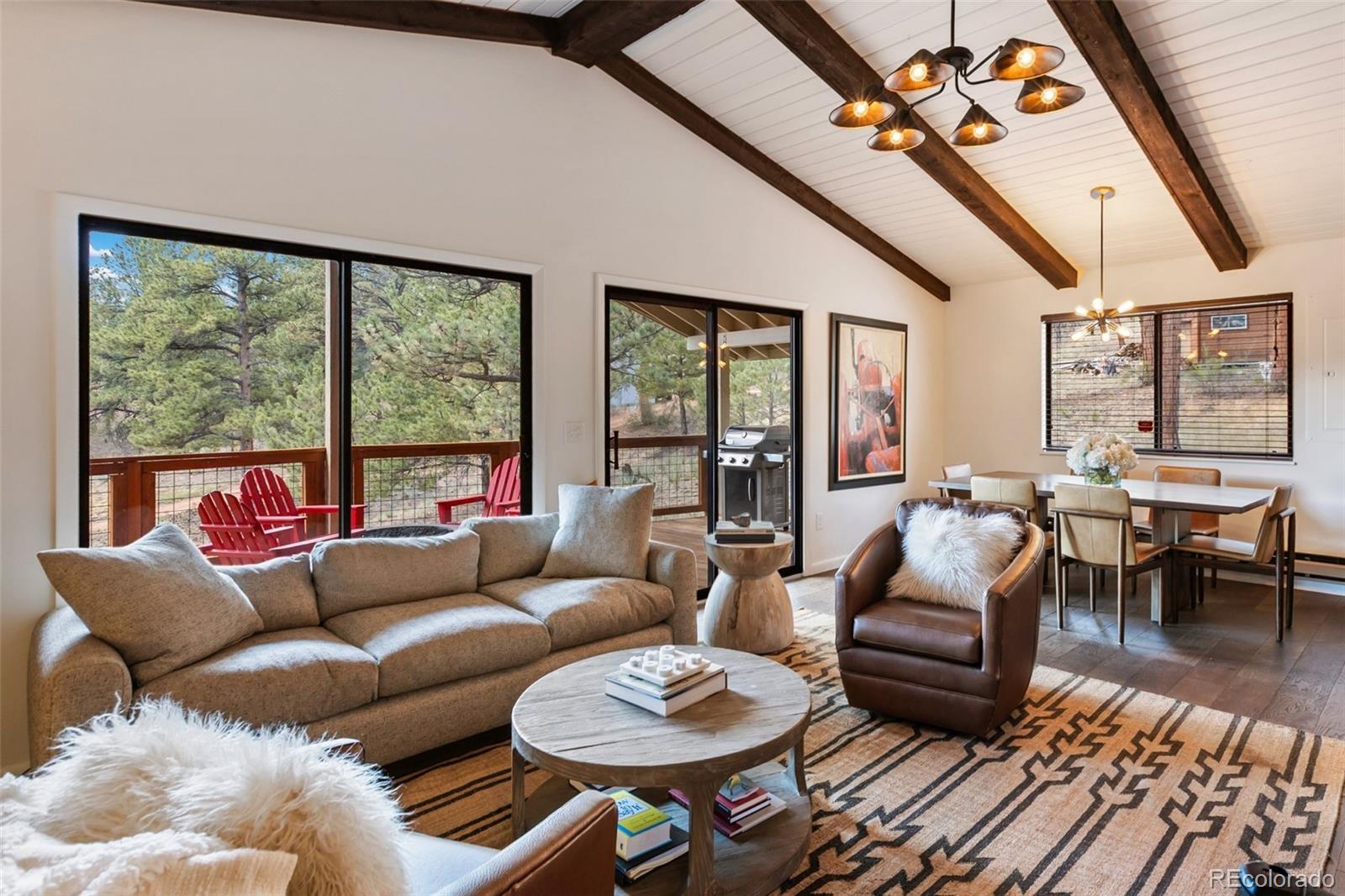 MLS Image #10 for 62  white trail,lake george, Colorado