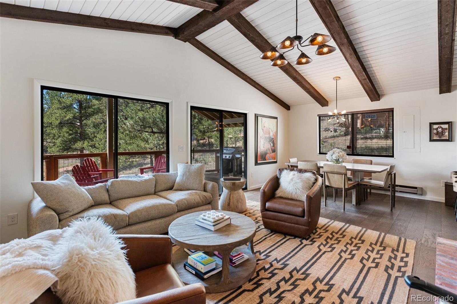 MLS Image #12 for 62  white trail,lake george, Colorado