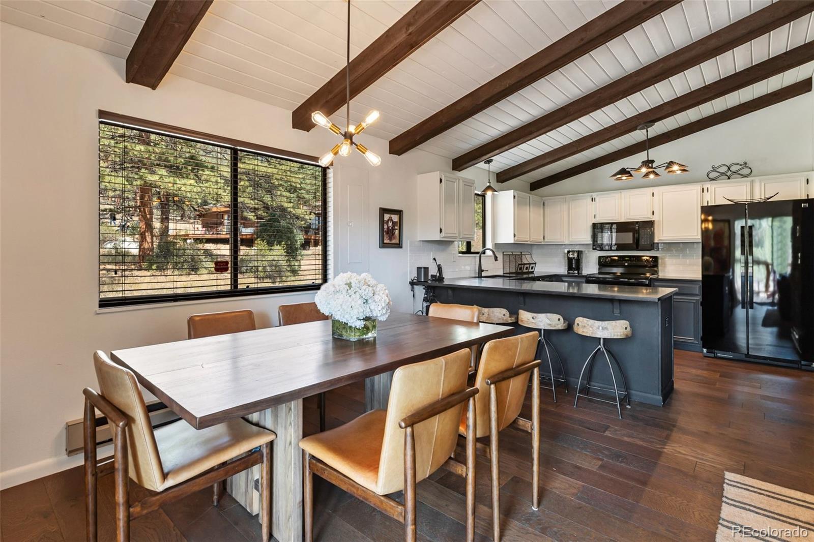 MLS Image #13 for 62  white trail,lake george, Colorado