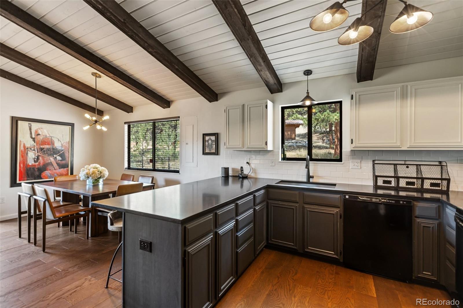 MLS Image #18 for 62  white trail,lake george, Colorado