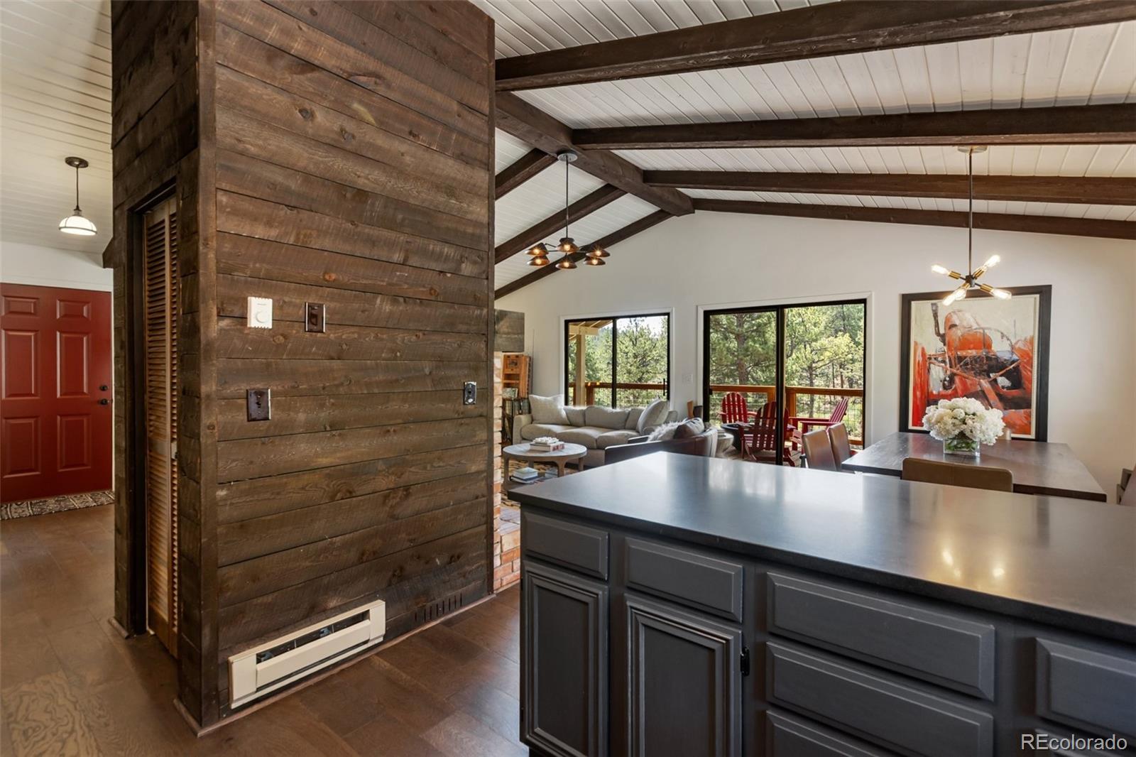 MLS Image #19 for 62  white trail,lake george, Colorado