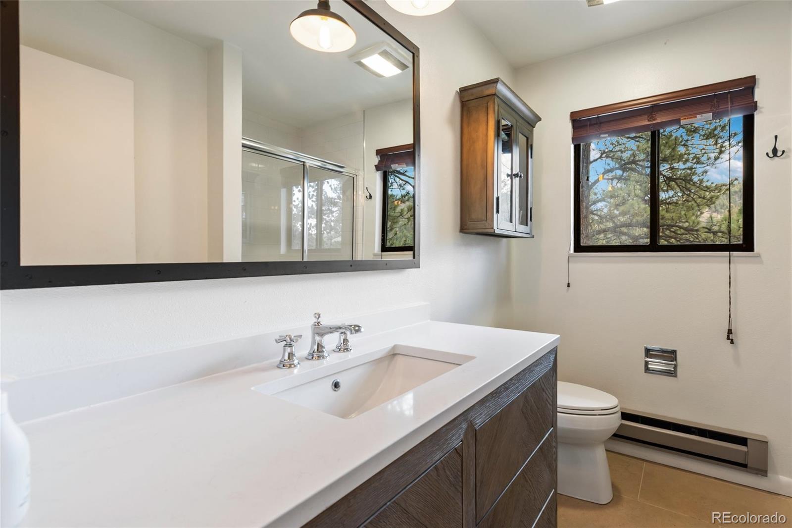 MLS Image #21 for 62  white trail,lake george, Colorado
