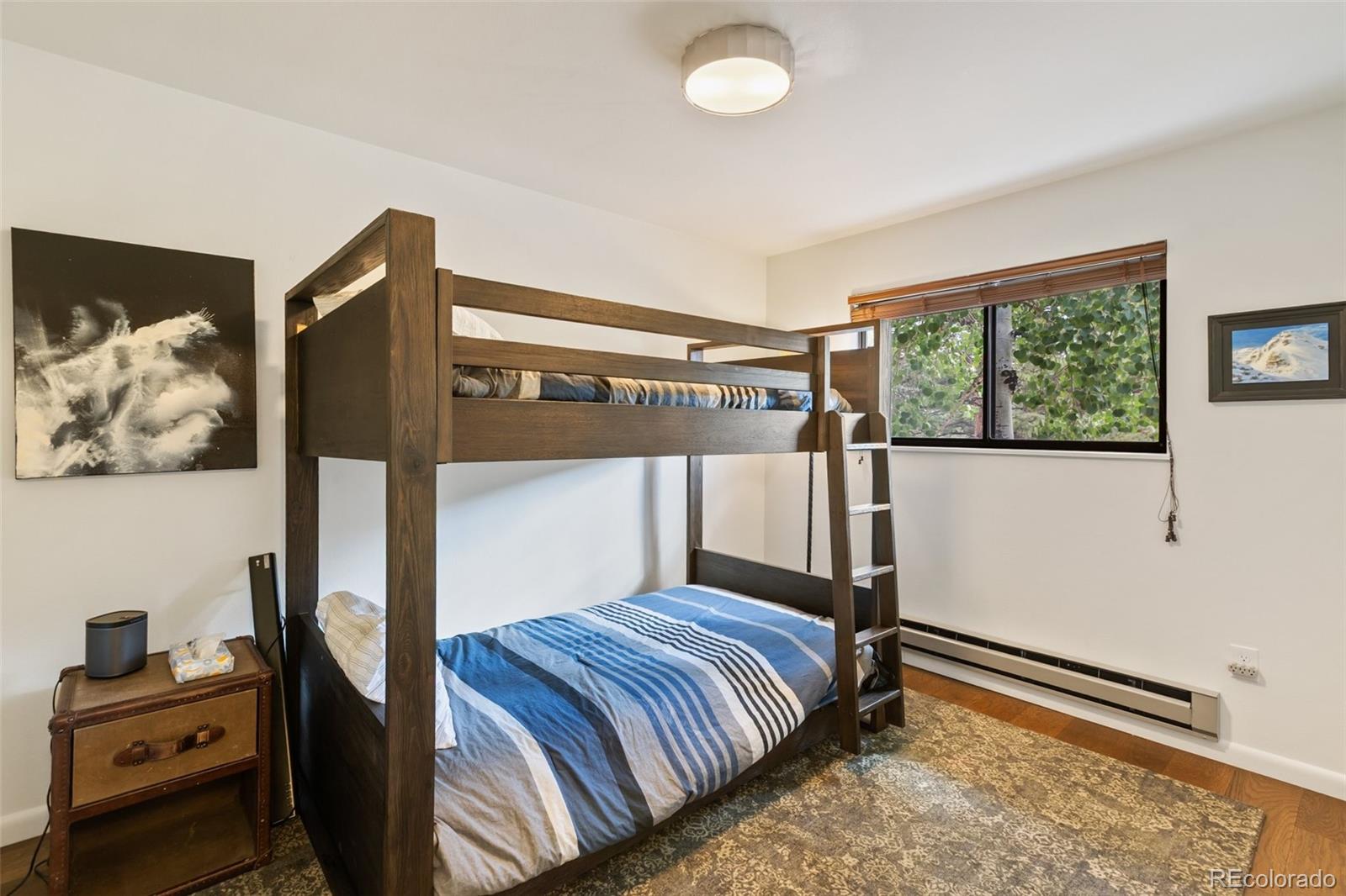 MLS Image #24 for 62  white trail,lake george, Colorado