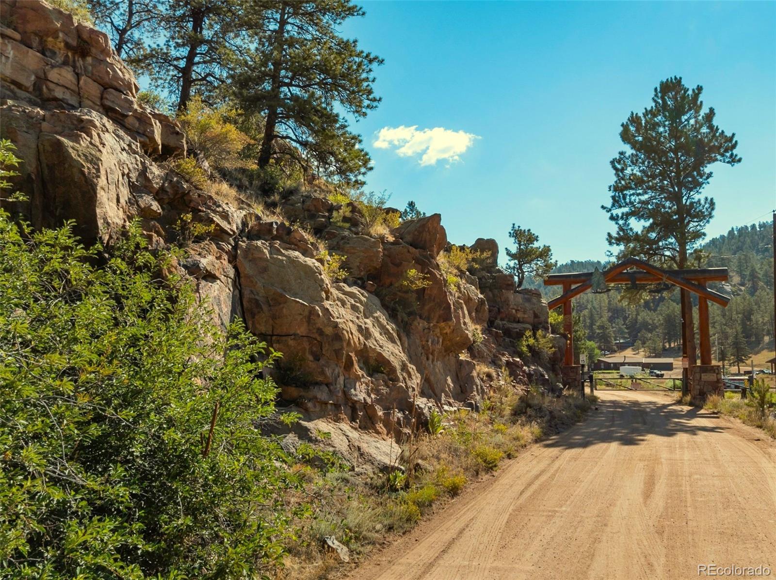 MLS Image #3 for 62  white trail,lake george, Colorado
