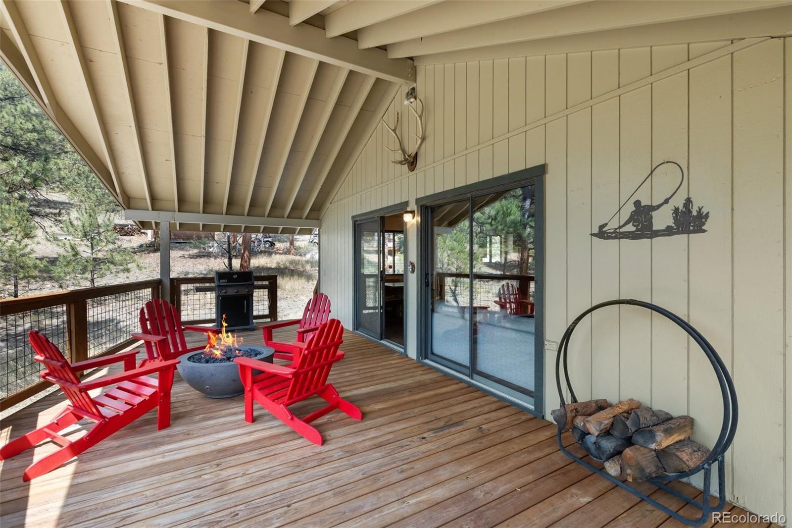 MLS Image #5 for 62  white trail,lake george, Colorado