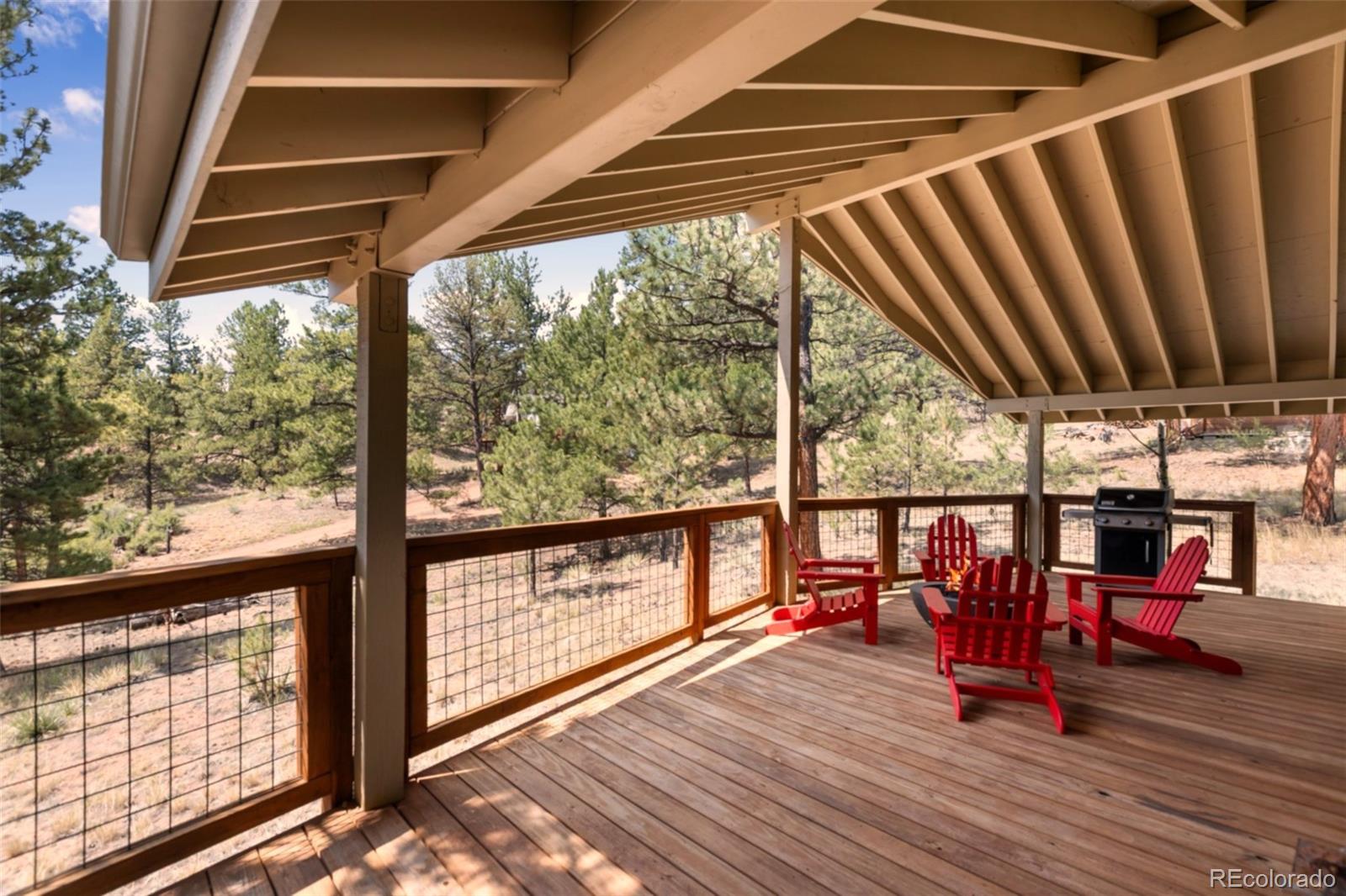 MLS Image #7 for 62  white trail,lake george, Colorado