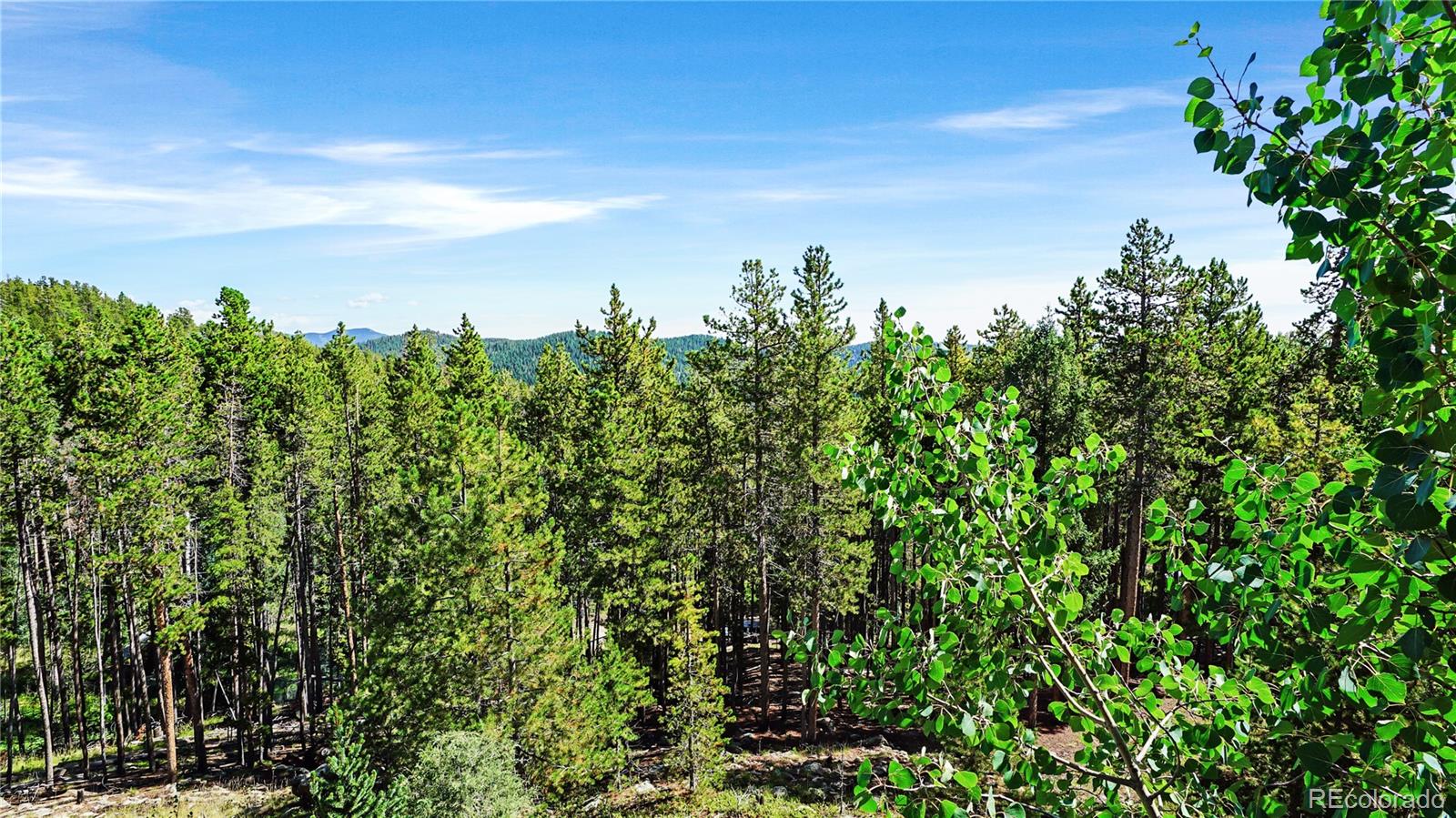 MLS Image #1 for 224  brook road,evergreen, Colorado