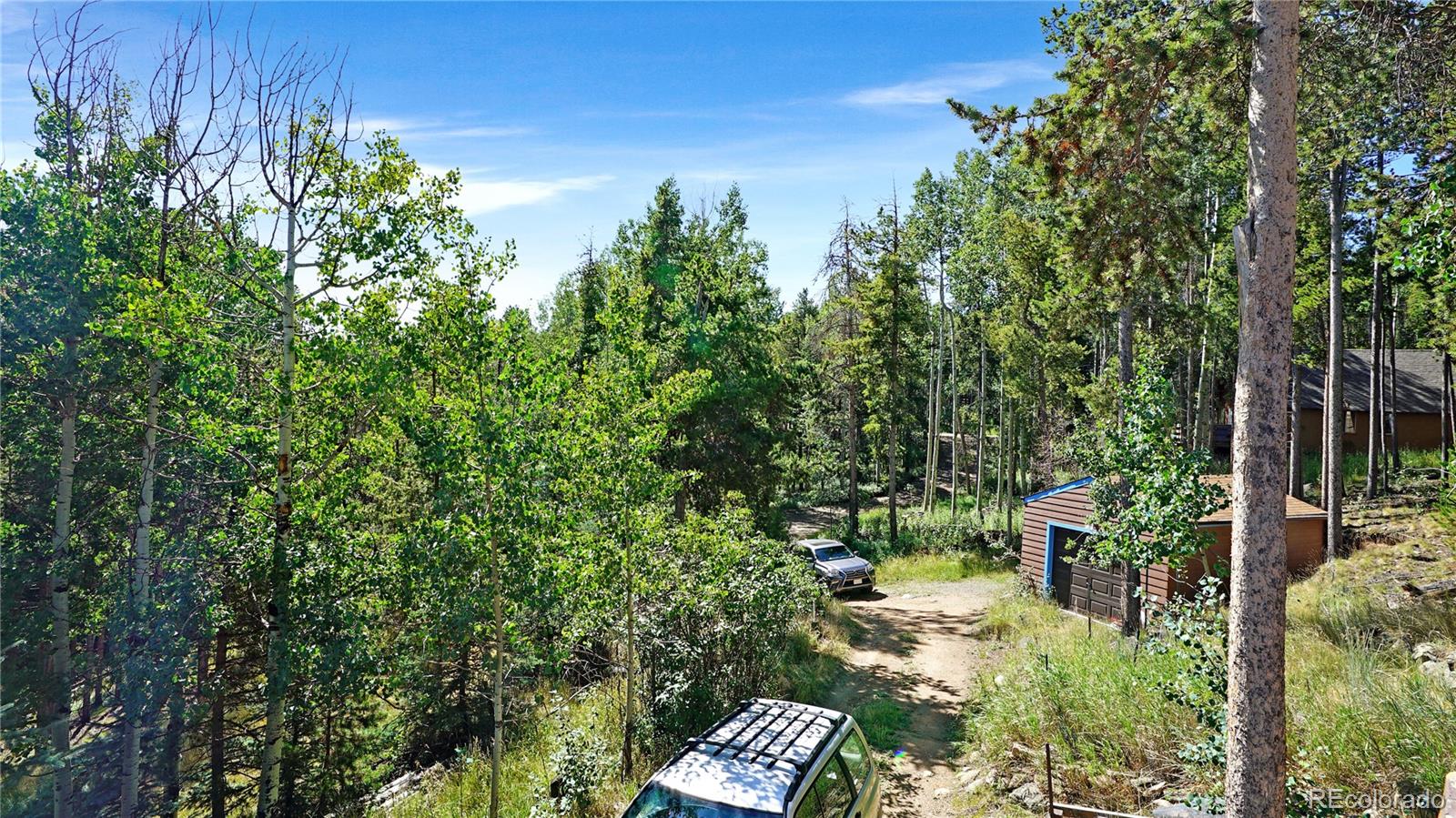 MLS Image #12 for 224  brook road,evergreen, Colorado