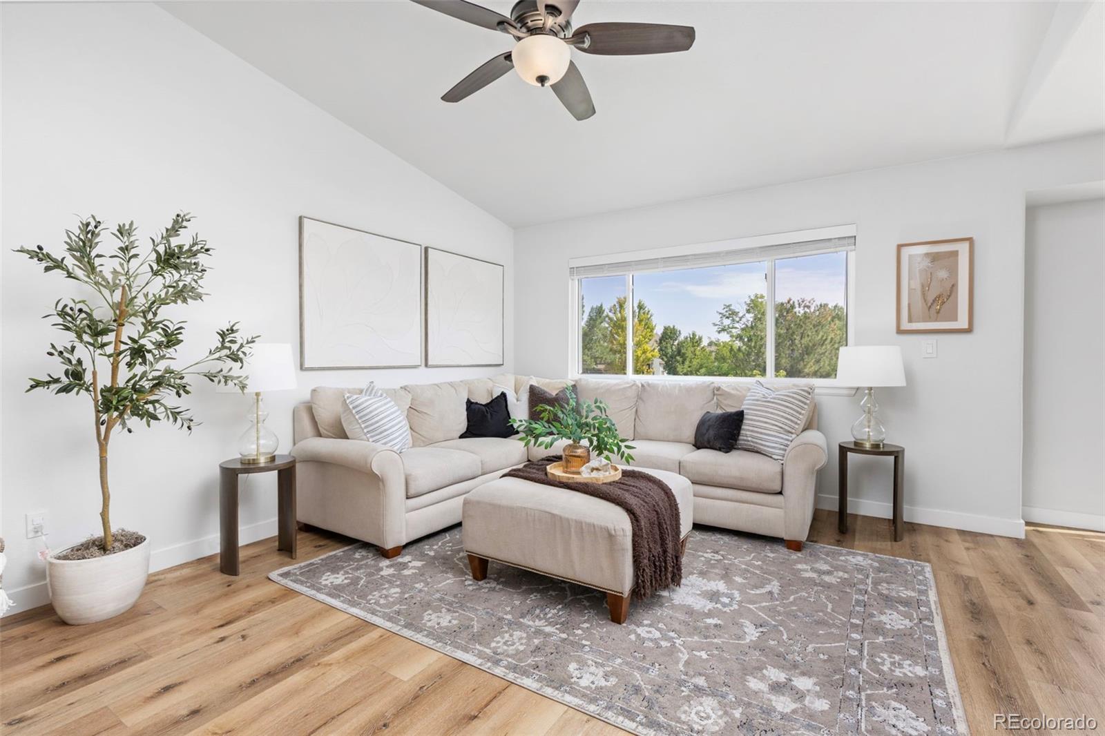 MLS Image #10 for 9914  stonebriar lane,parker, Colorado