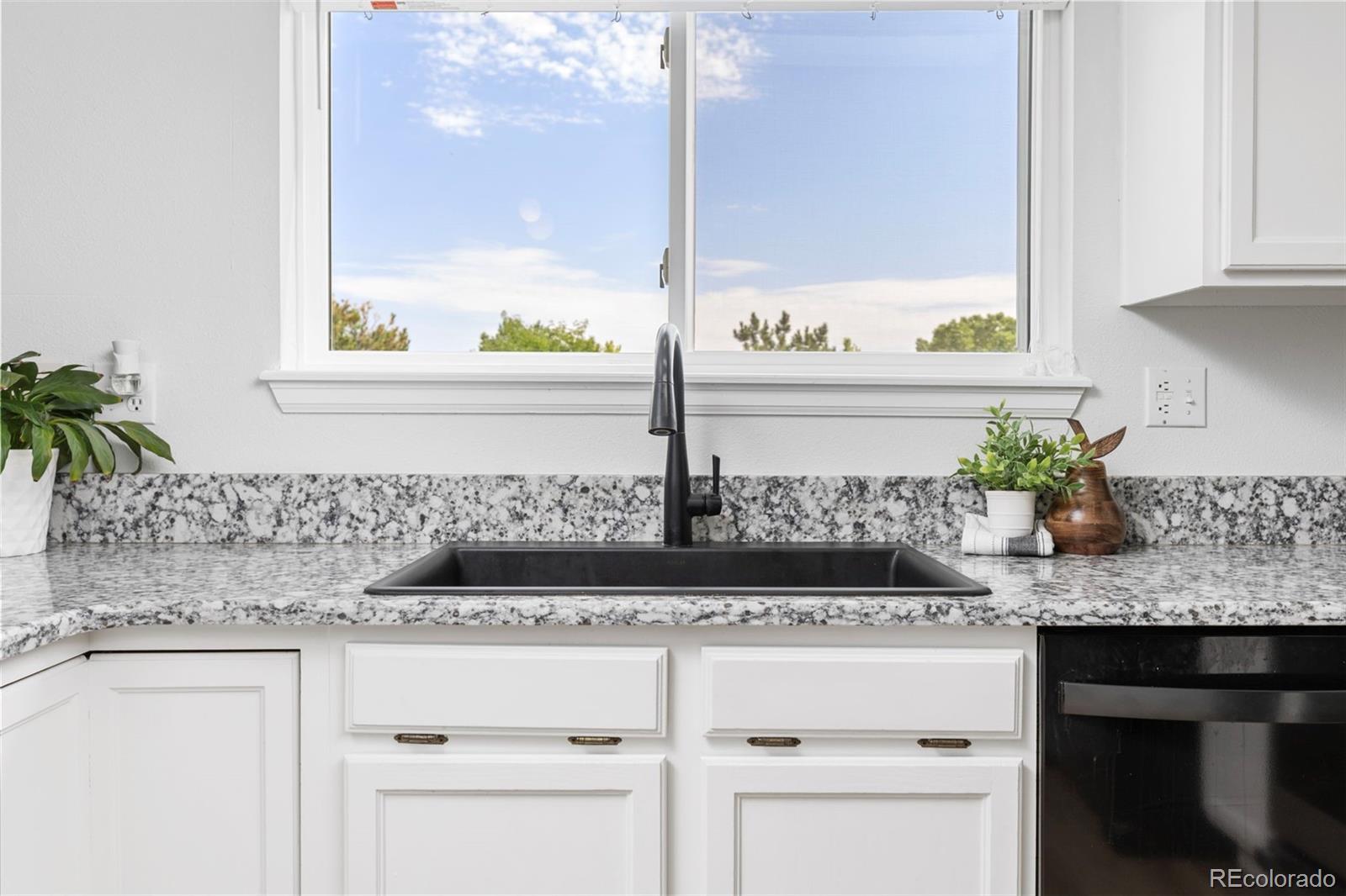 MLS Image #15 for 9914  stonebriar lane,parker, Colorado