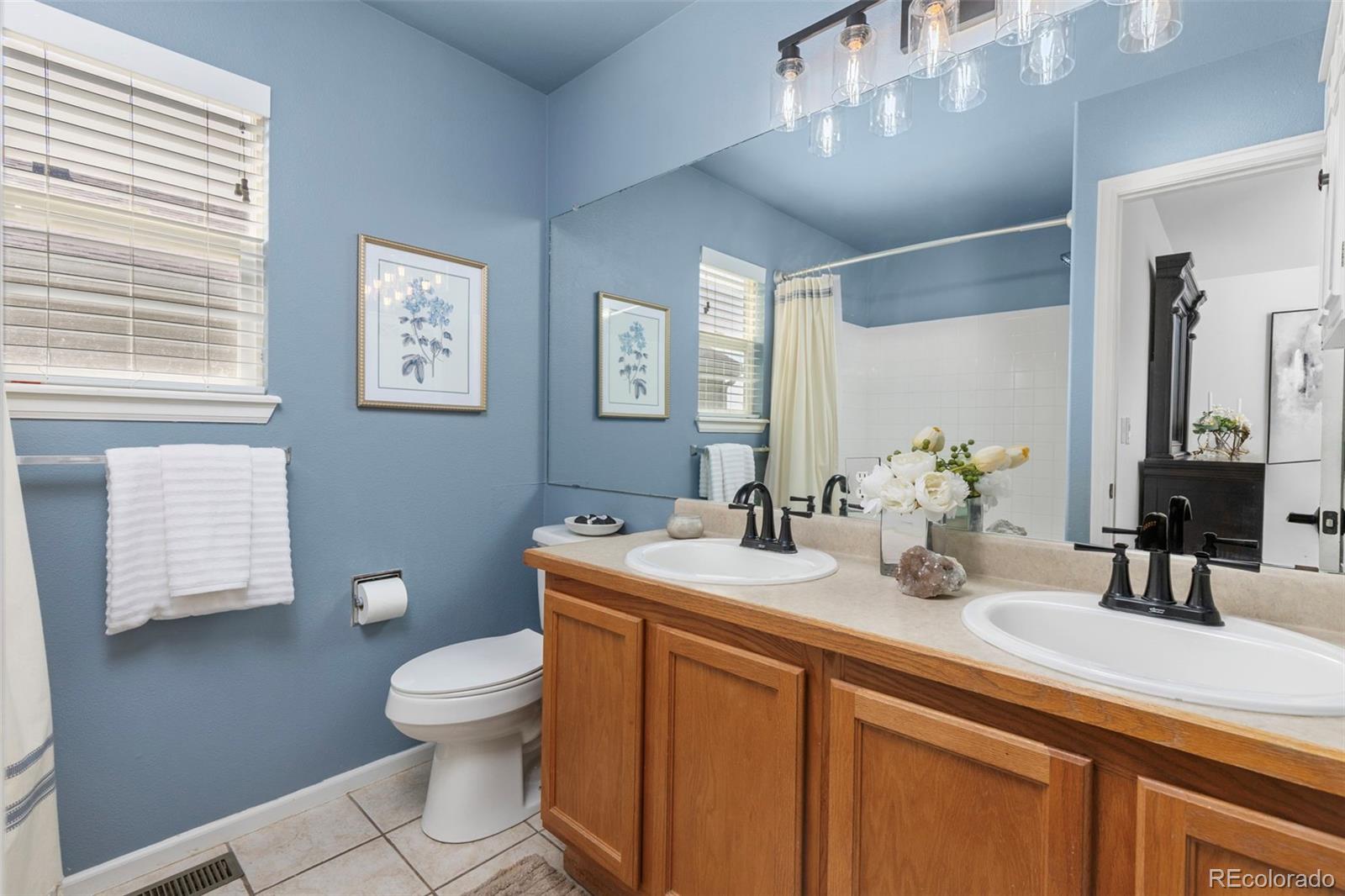 MLS Image #21 for 9914  stonebriar lane,parker, Colorado