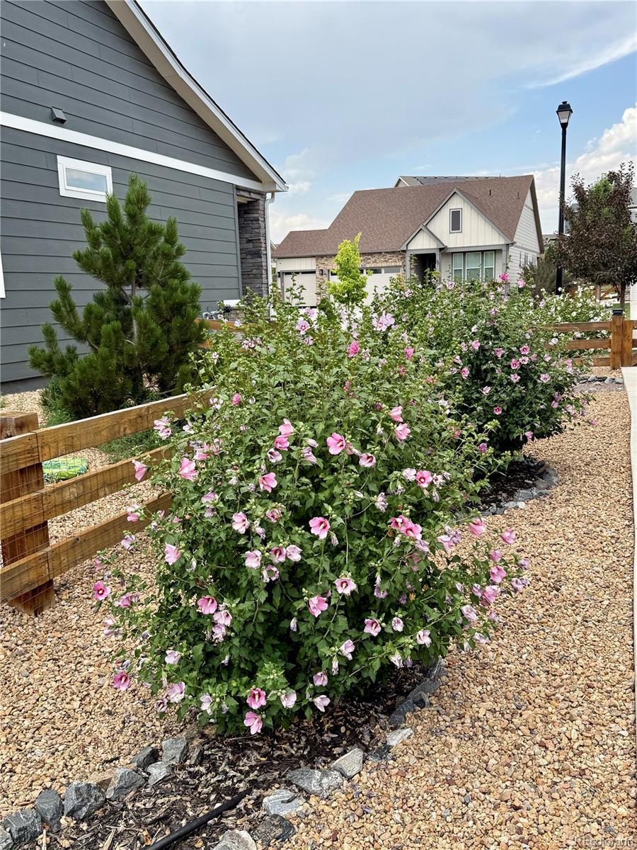 MLS Image #23 for 7758 e 157th avenue,brighton, Colorado