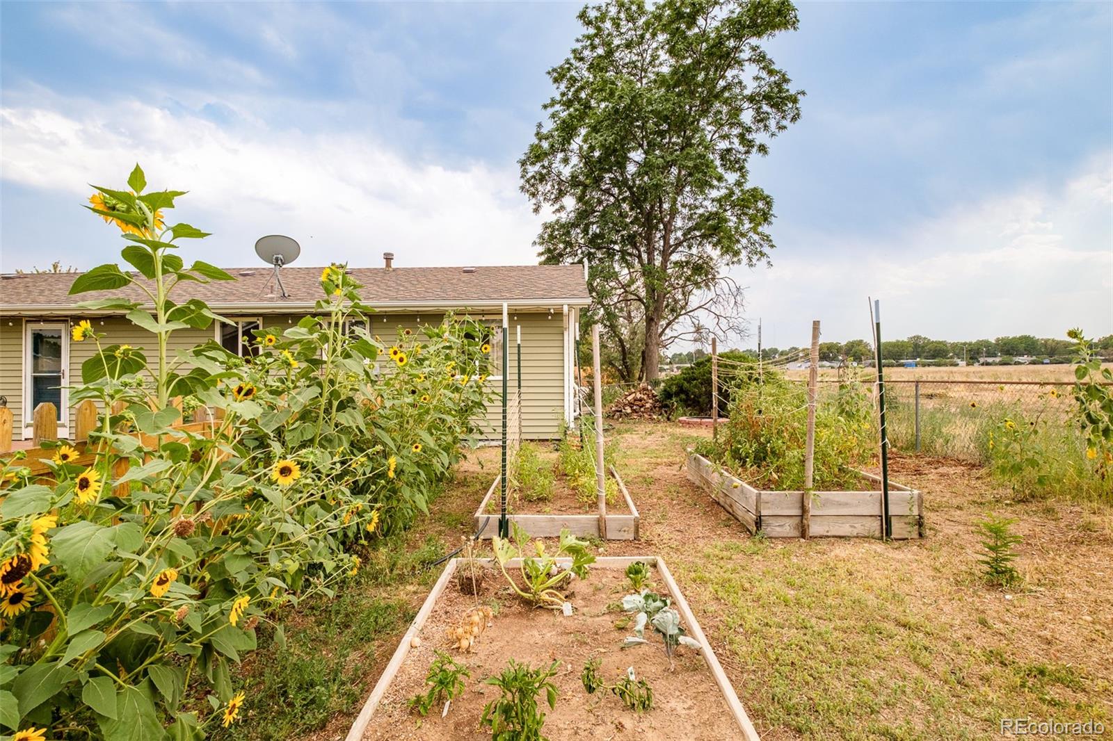 MLS Image #31 for 3595 e 89th avenue,thornton, Colorado