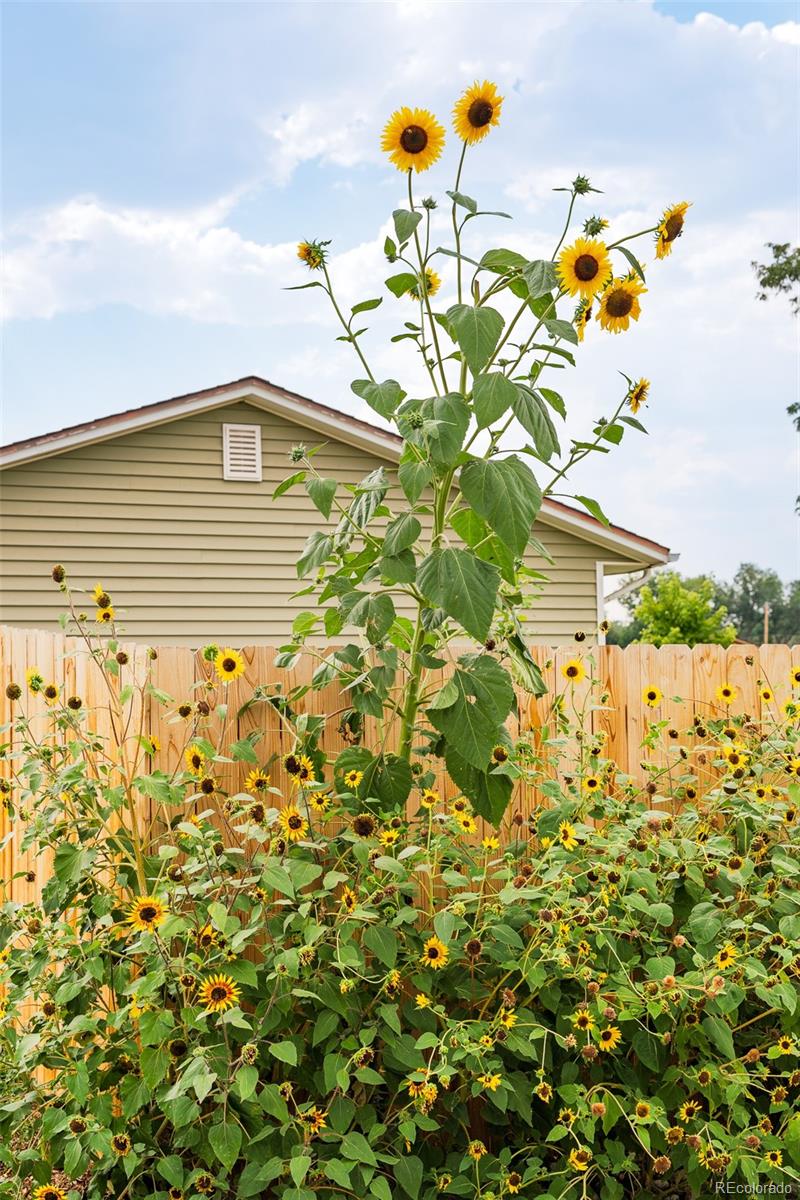 MLS Image #32 for 3595 e 89th avenue,thornton, Colorado