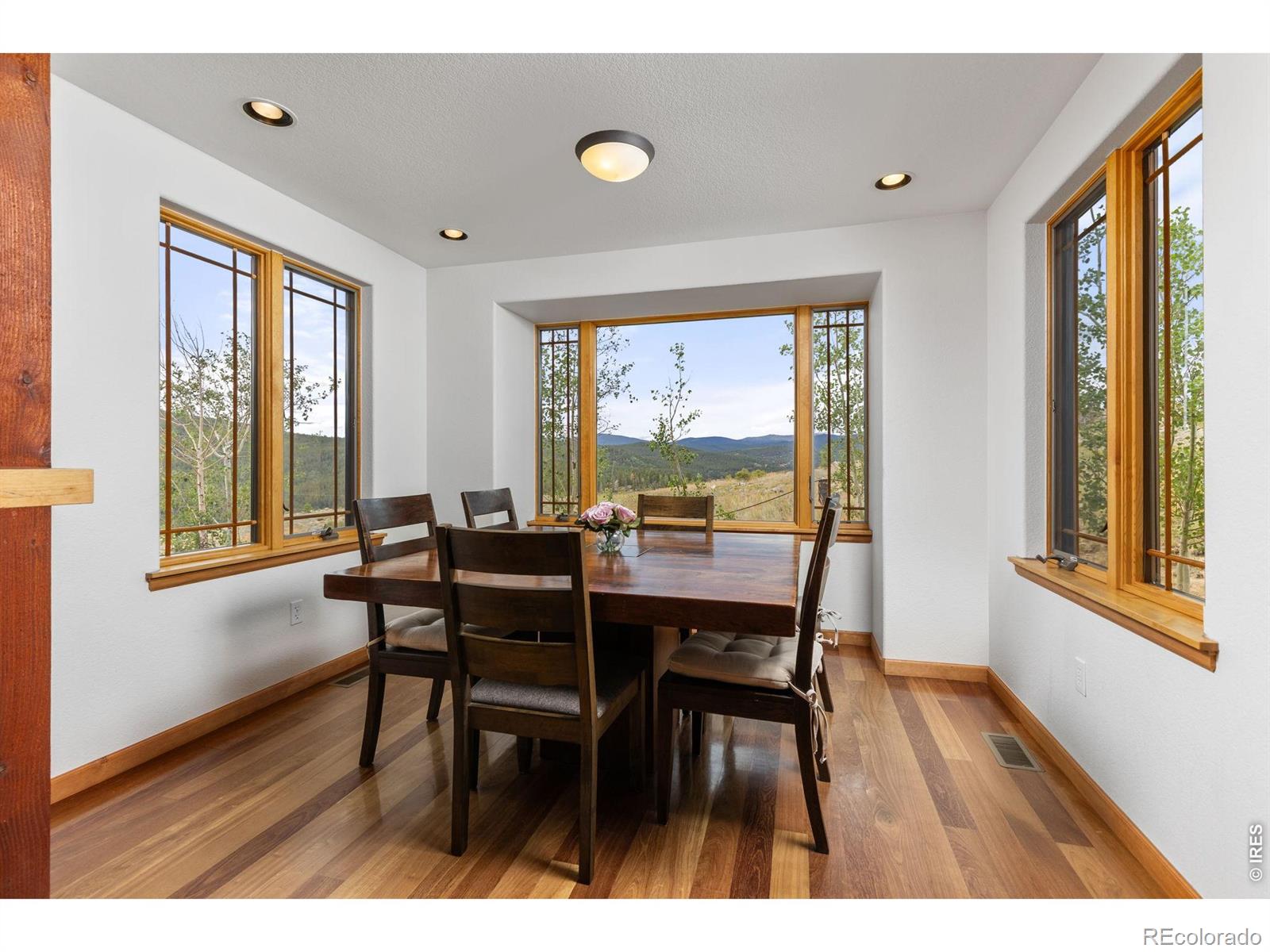 MLS Image #11 for 2607  ridge road,nederland, Colorado