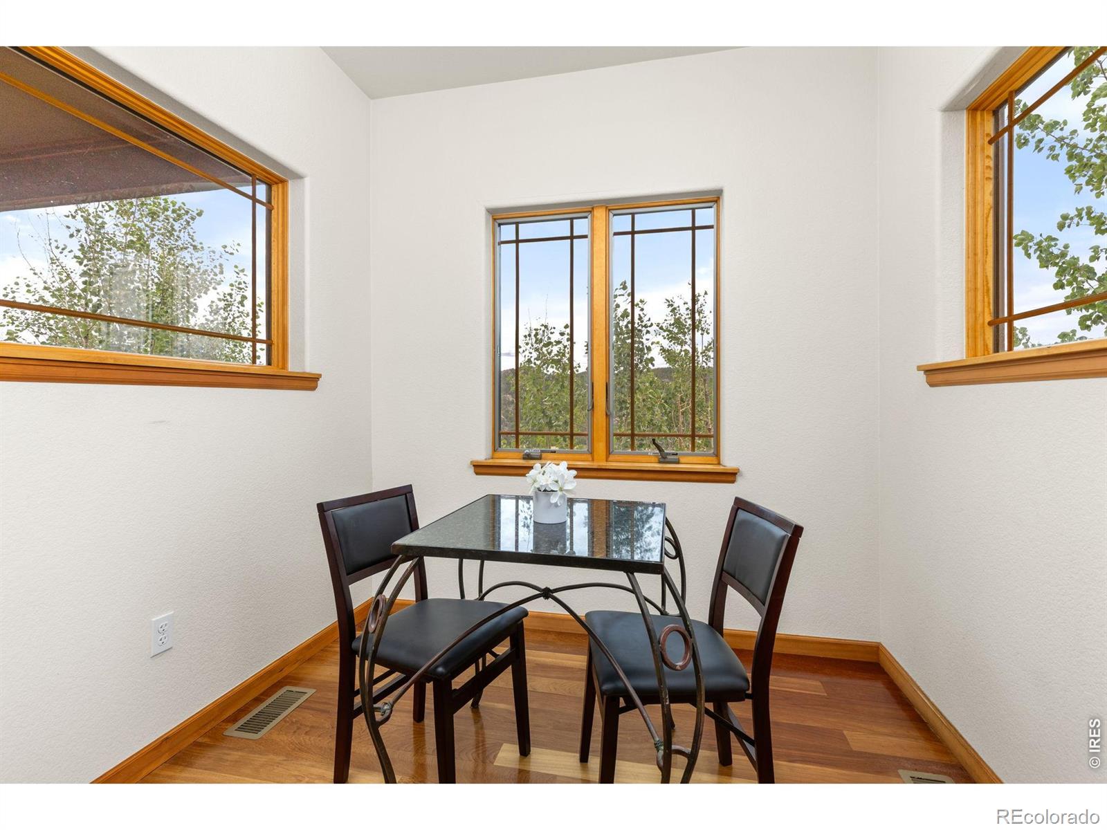 MLS Image #15 for 2607  ridge road,nederland, Colorado