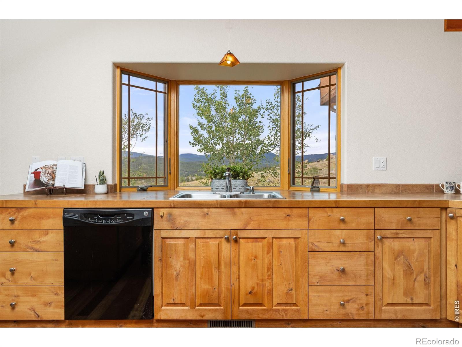 MLS Image #16 for 2607  ridge road,nederland, Colorado