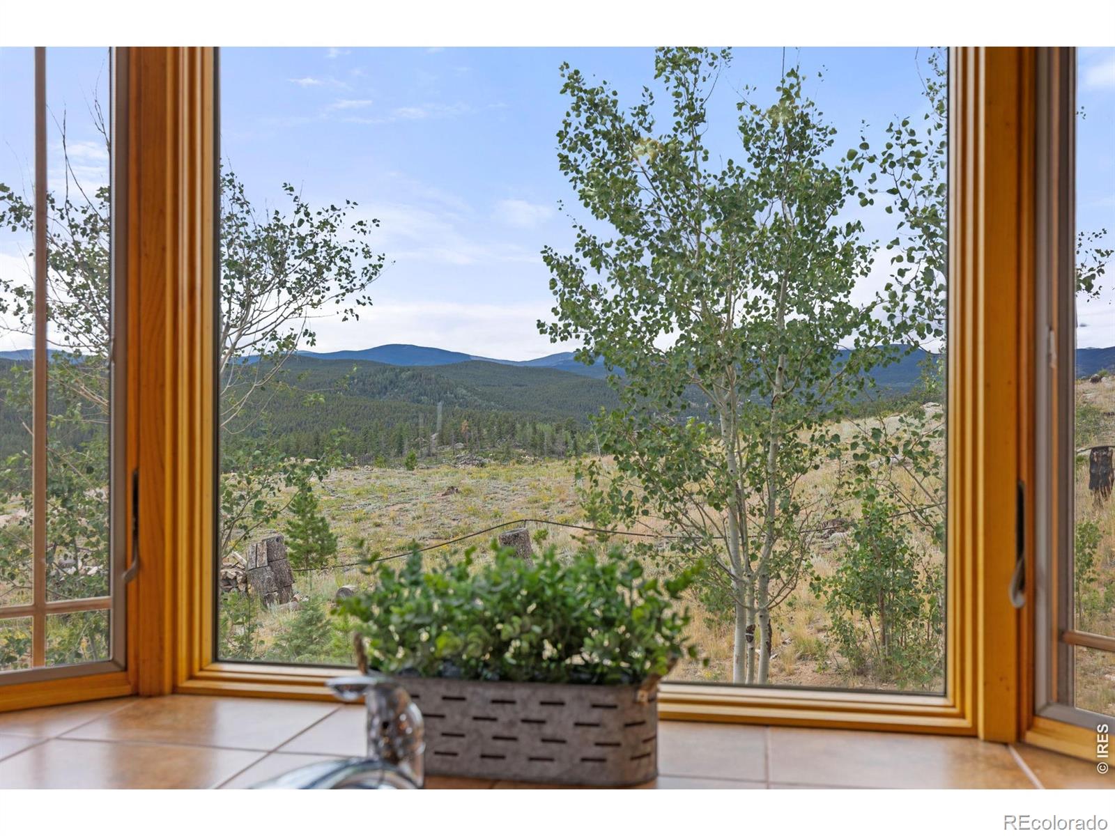 MLS Image #17 for 2607  ridge road,nederland, Colorado