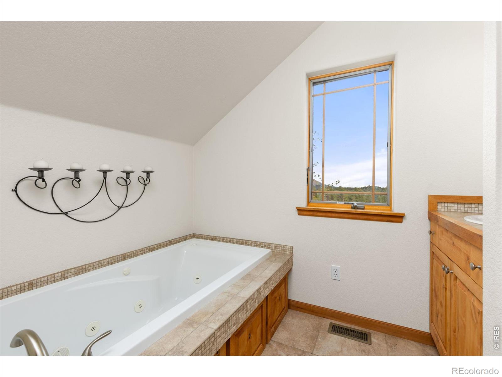 MLS Image #28 for 2607  ridge road,nederland, Colorado