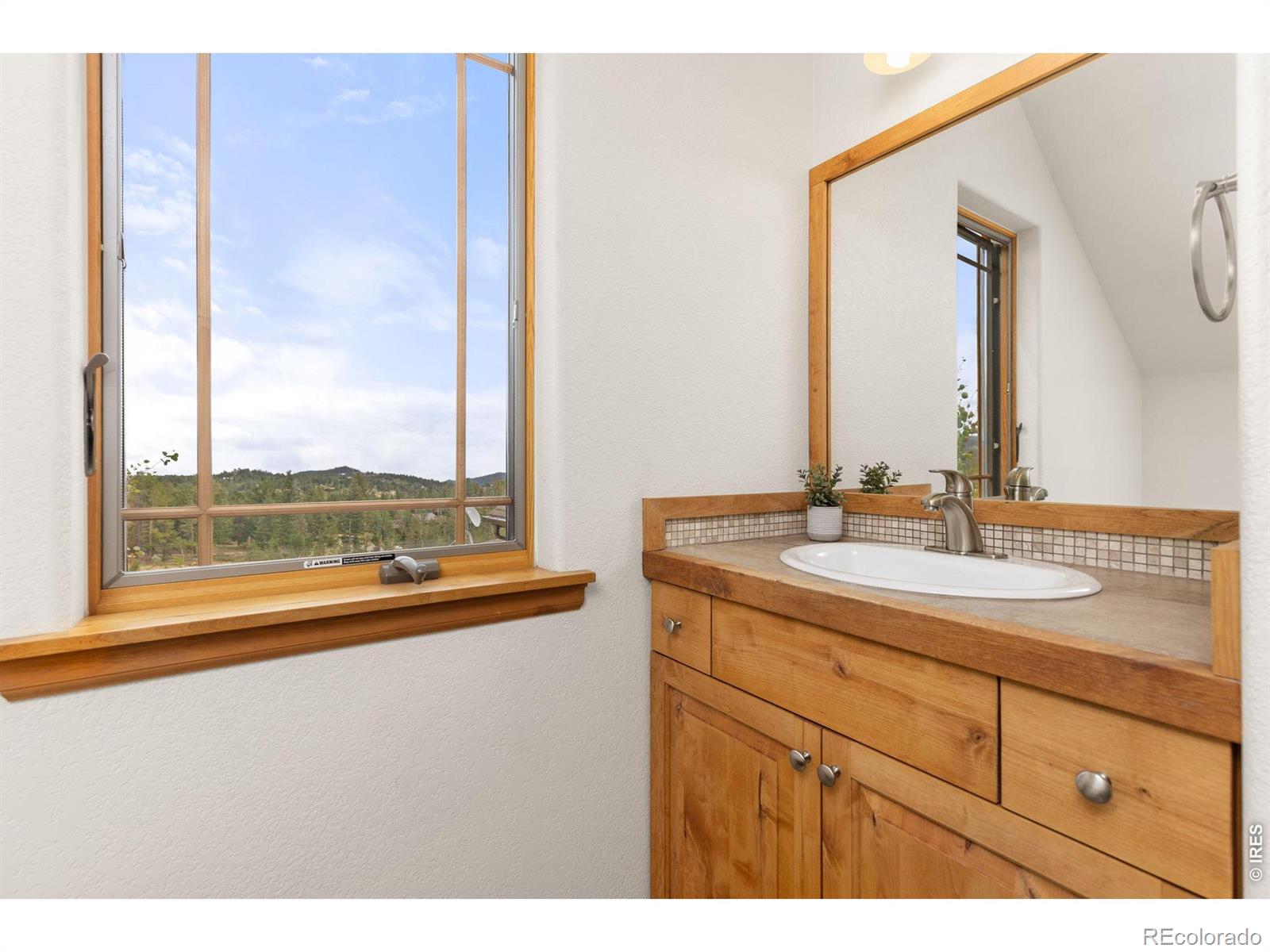 MLS Image #29 for 2607  ridge road,nederland, Colorado