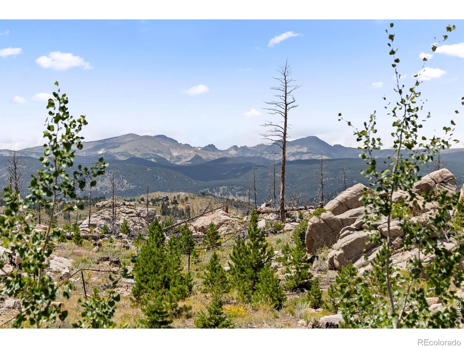 MLS Image #6 for 2607  ridge road,nederland, Colorado