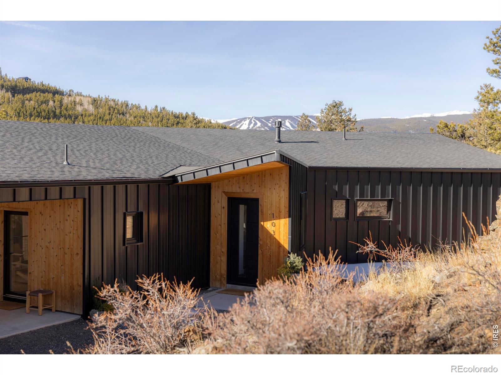 MLS Image #1 for 103 w wildewood drive,nederland, Colorado