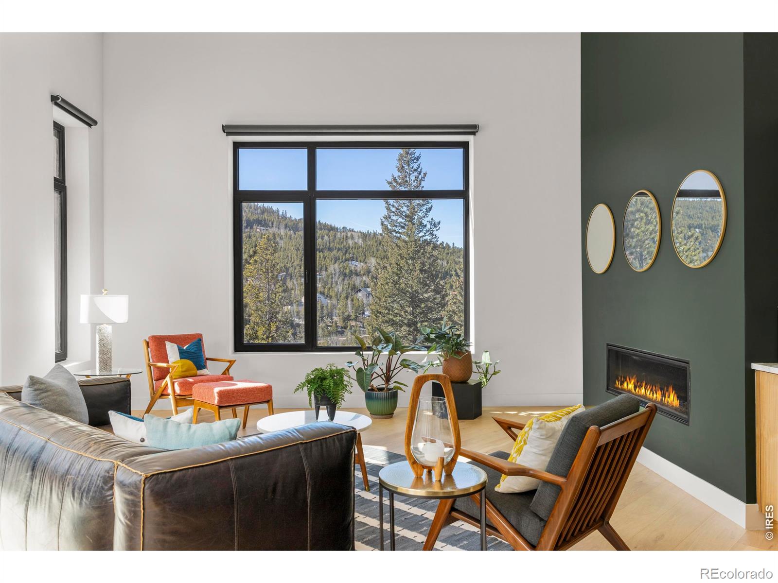 MLS Image #10 for 103 w wildewood drive,nederland, Colorado
