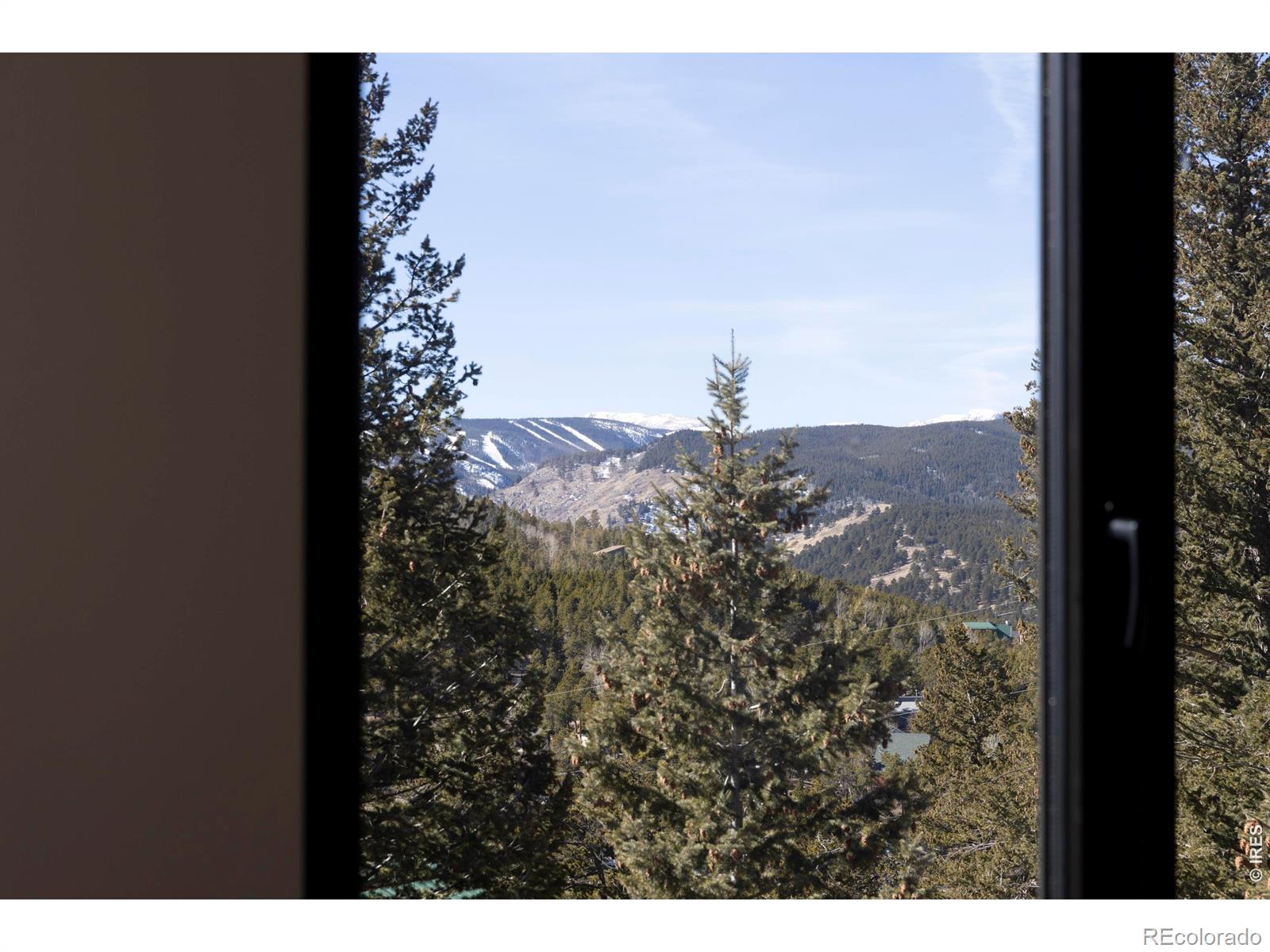 MLS Image #11 for 103 w wildewood drive,nederland, Colorado